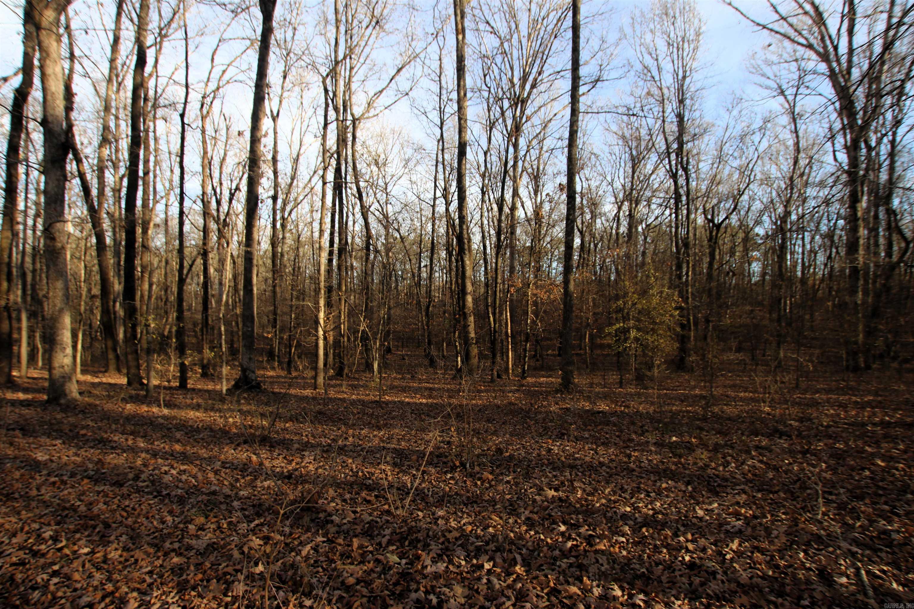 000 Cash Mountain  Malvern, AR