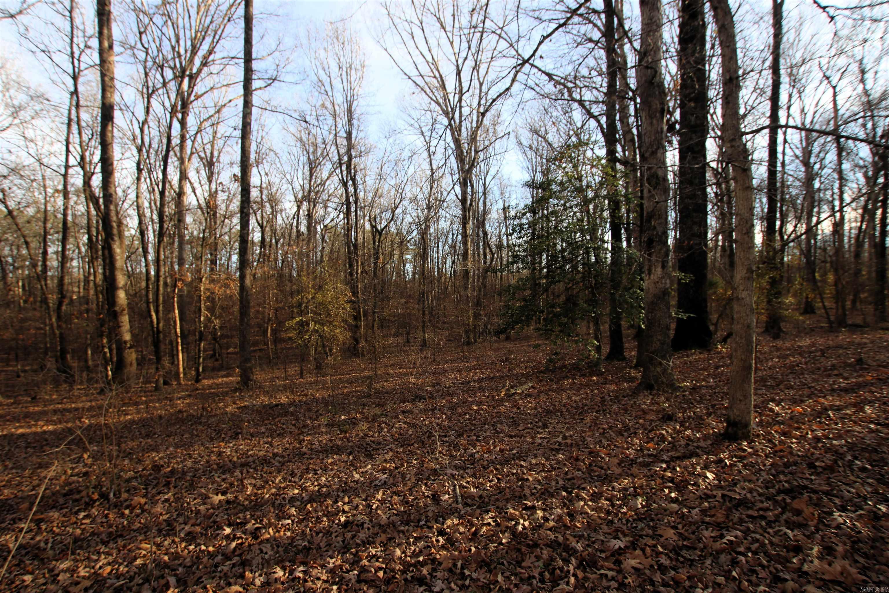 000 Cash Mountain  Malvern, AR