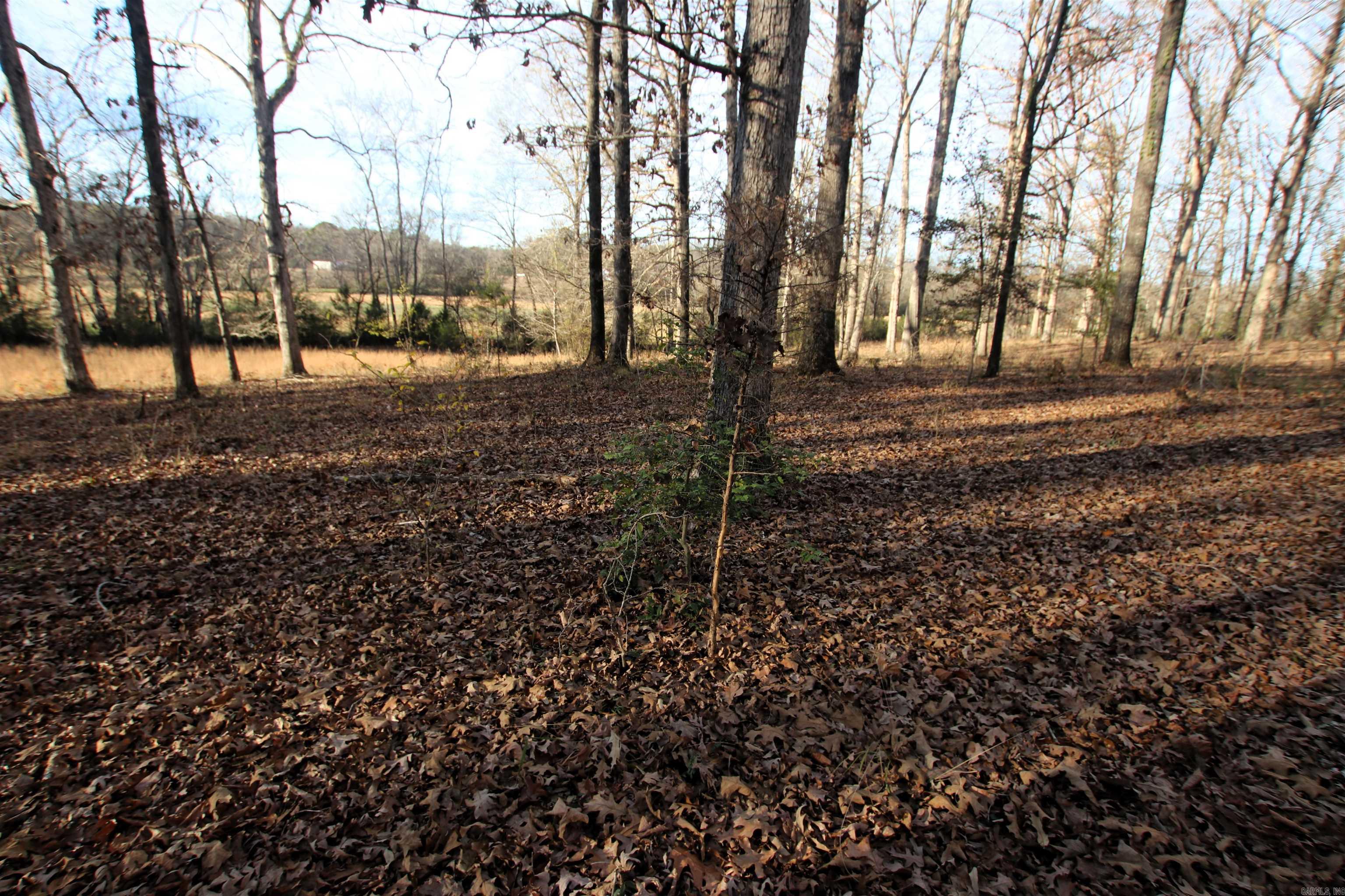 000 Cash Mountain  Malvern, AR