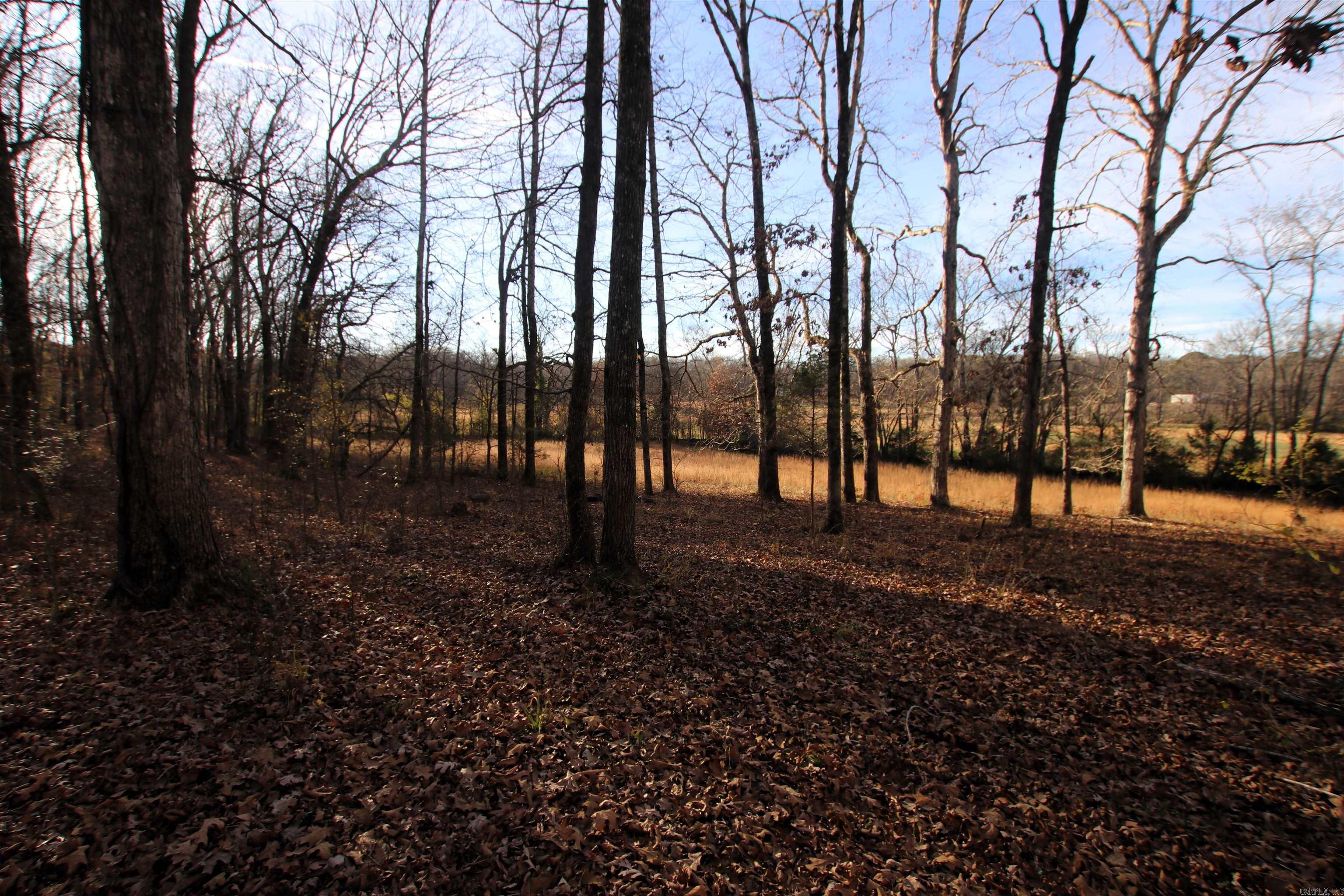 000 Cash Mountain  Malvern, AR