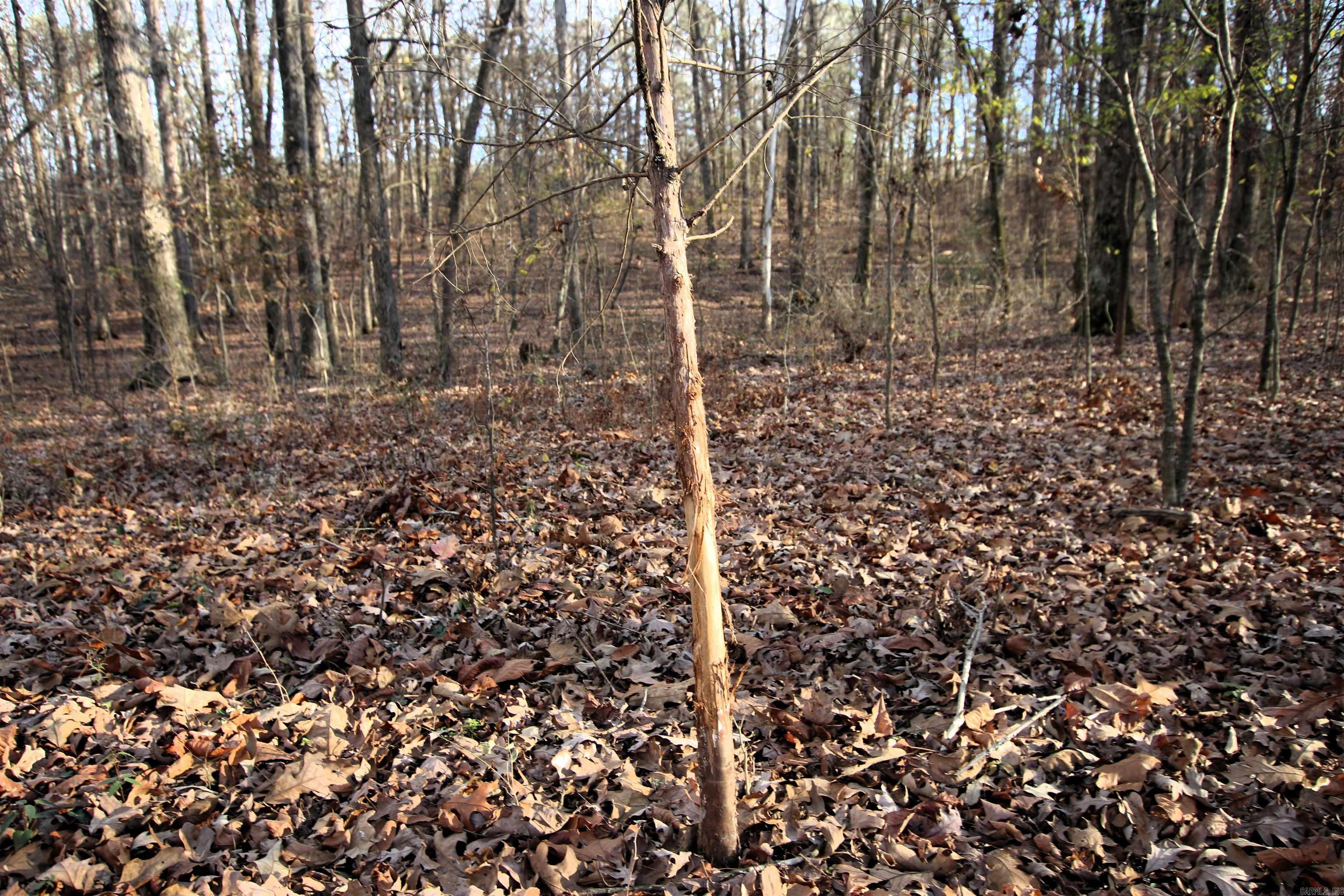 000 Cash Mountain  Malvern, AR