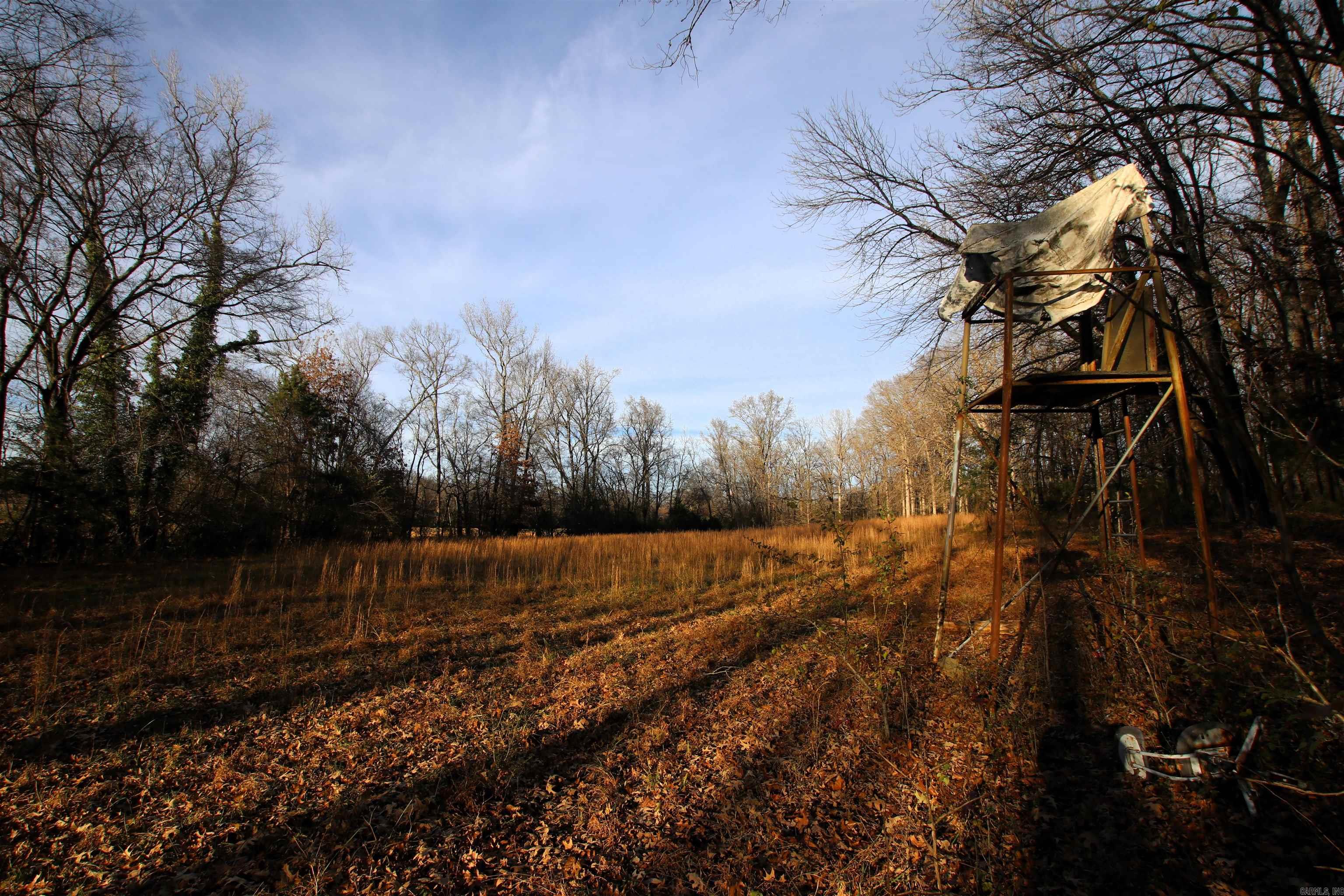 000 Cash Mountain  Malvern, AR