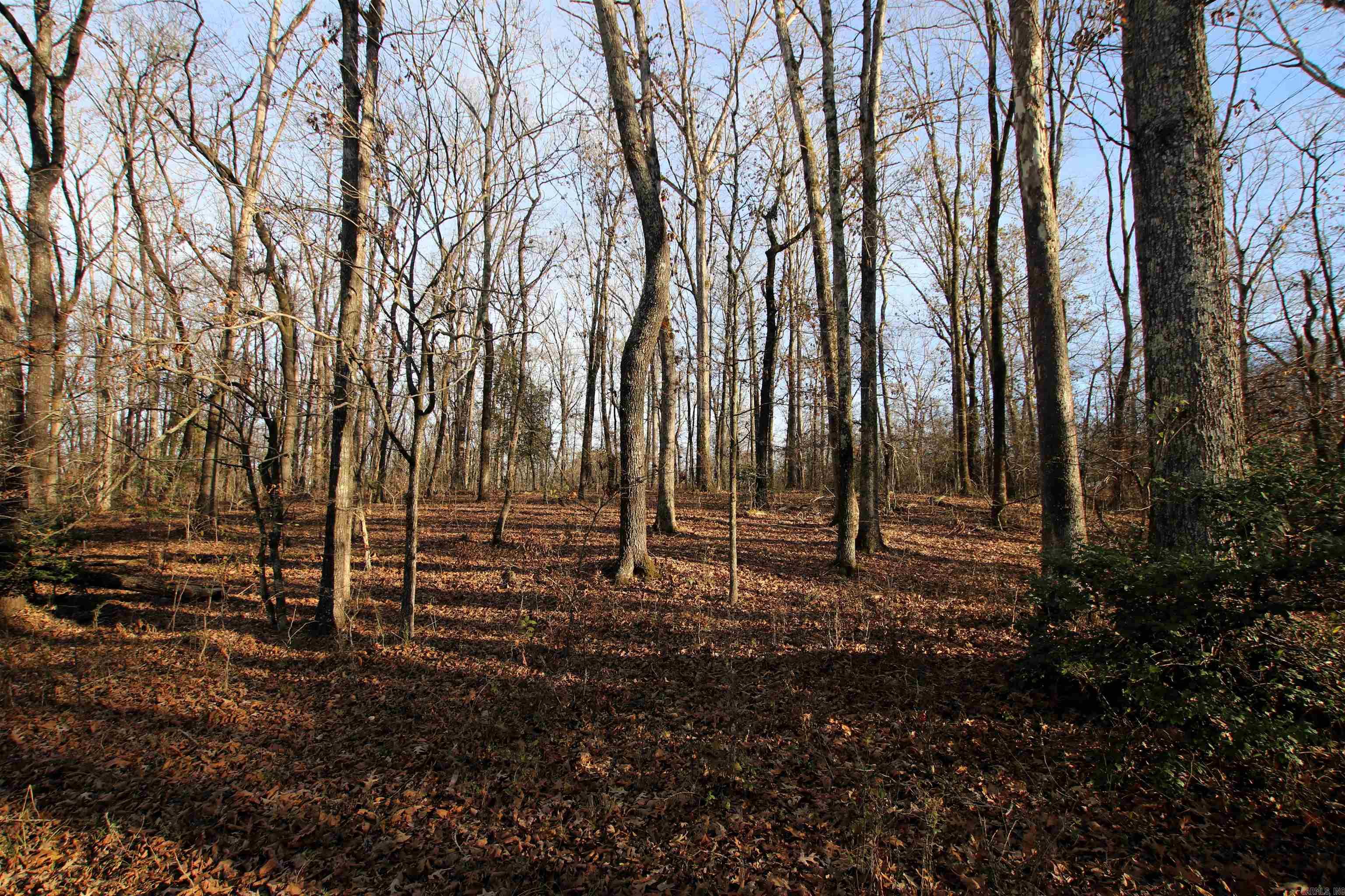 000 Cash Mountain  Malvern, AR