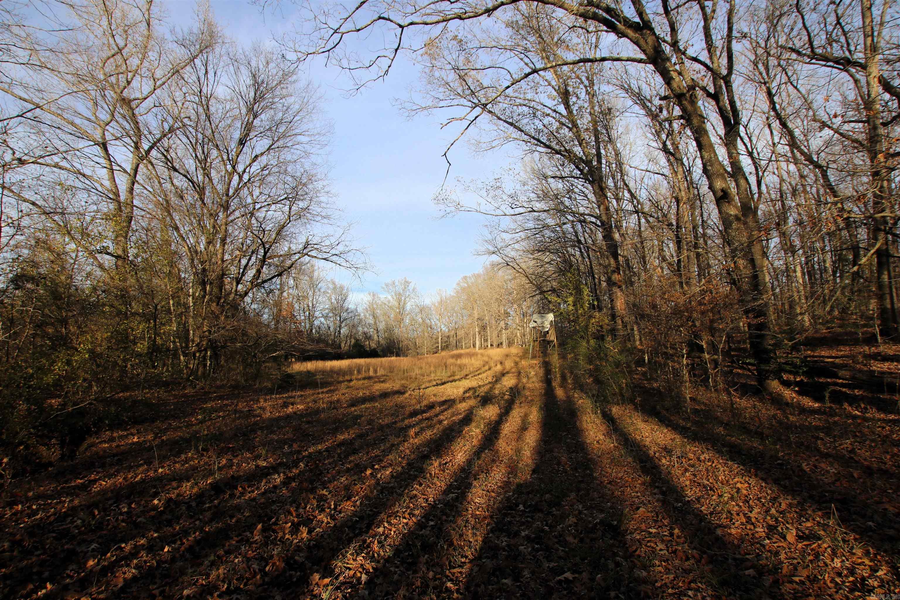 000 Cash Mountain  Malvern, AR