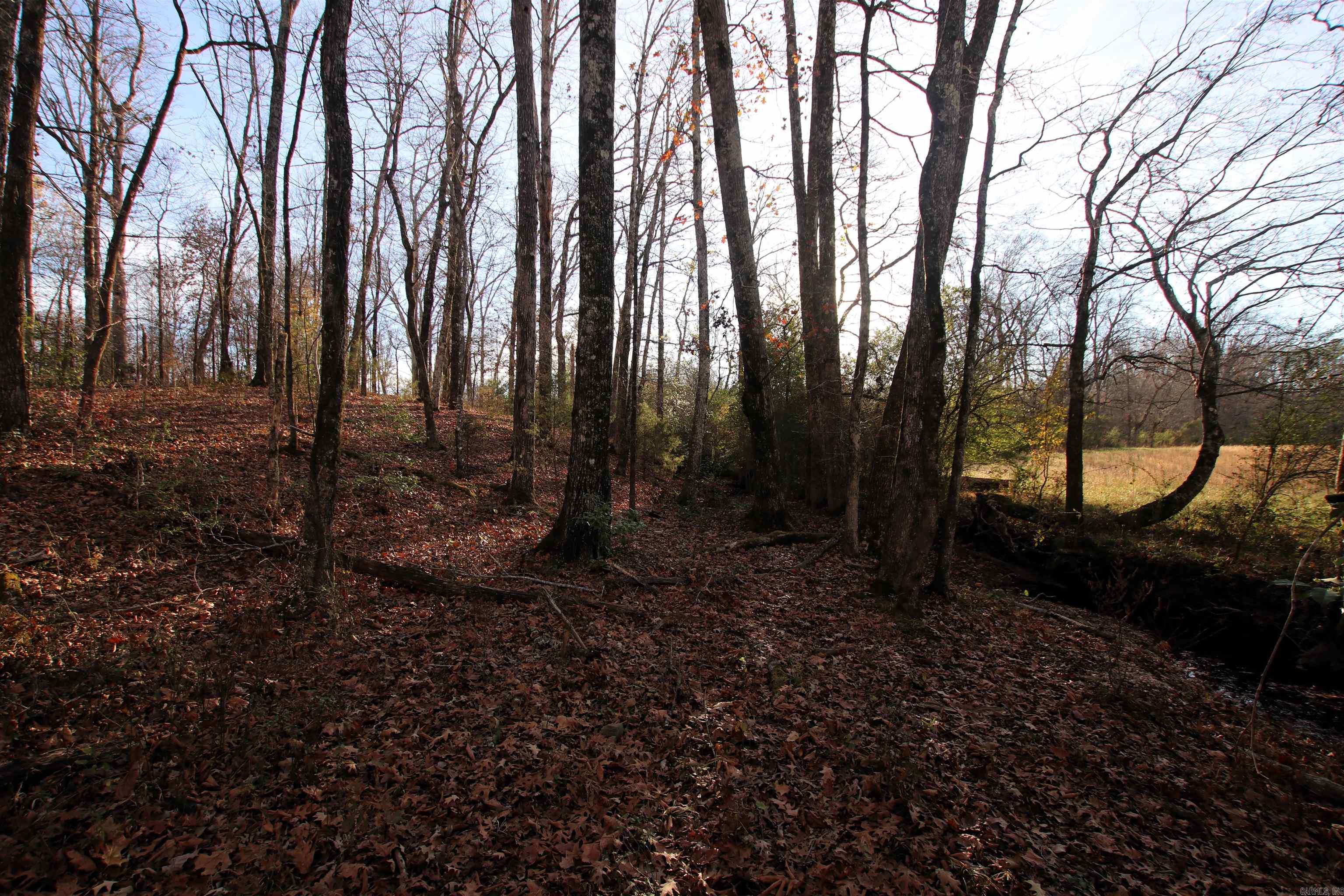 000 Cash Mountain  Malvern, AR