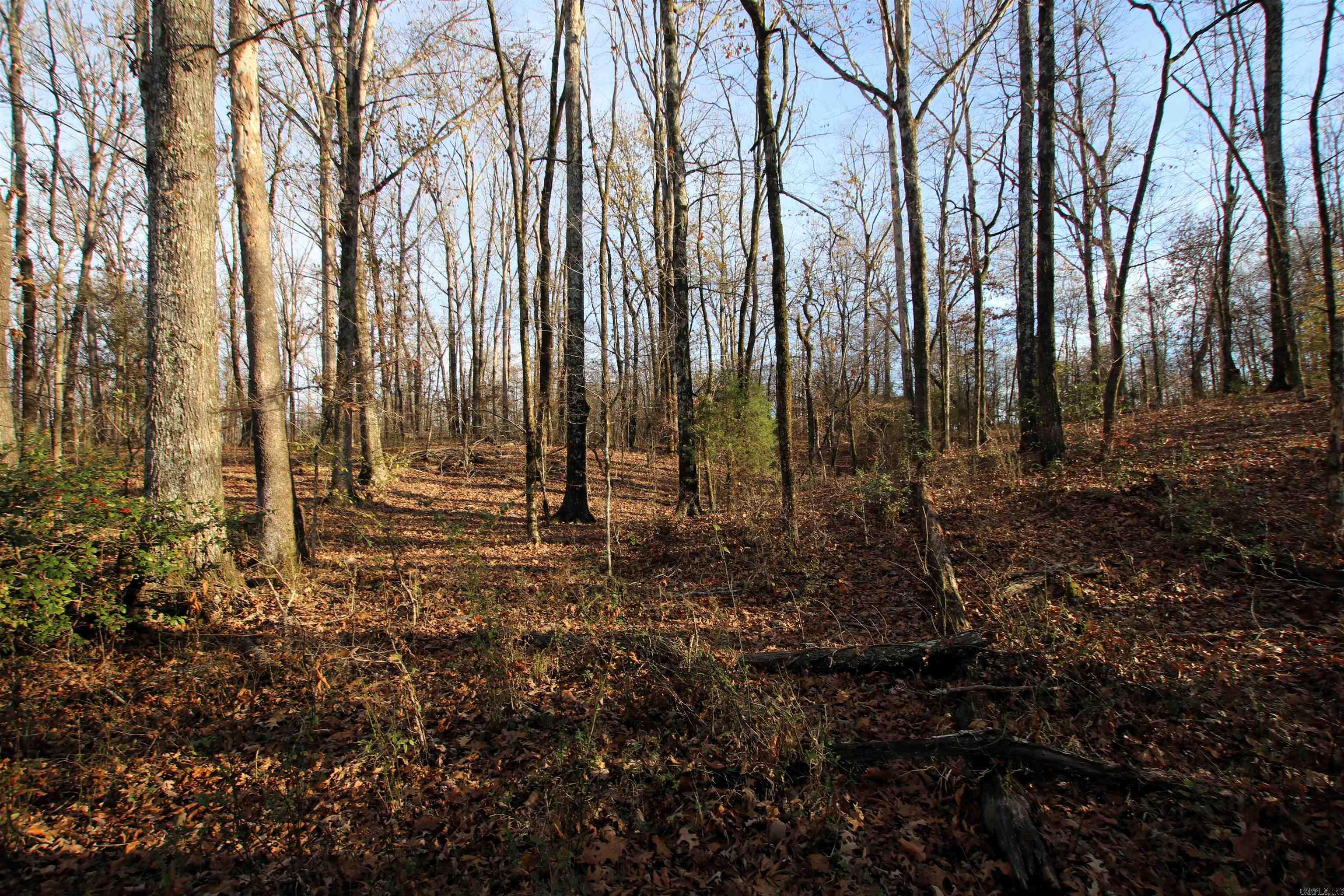 000 Cash Mountain  Malvern, AR