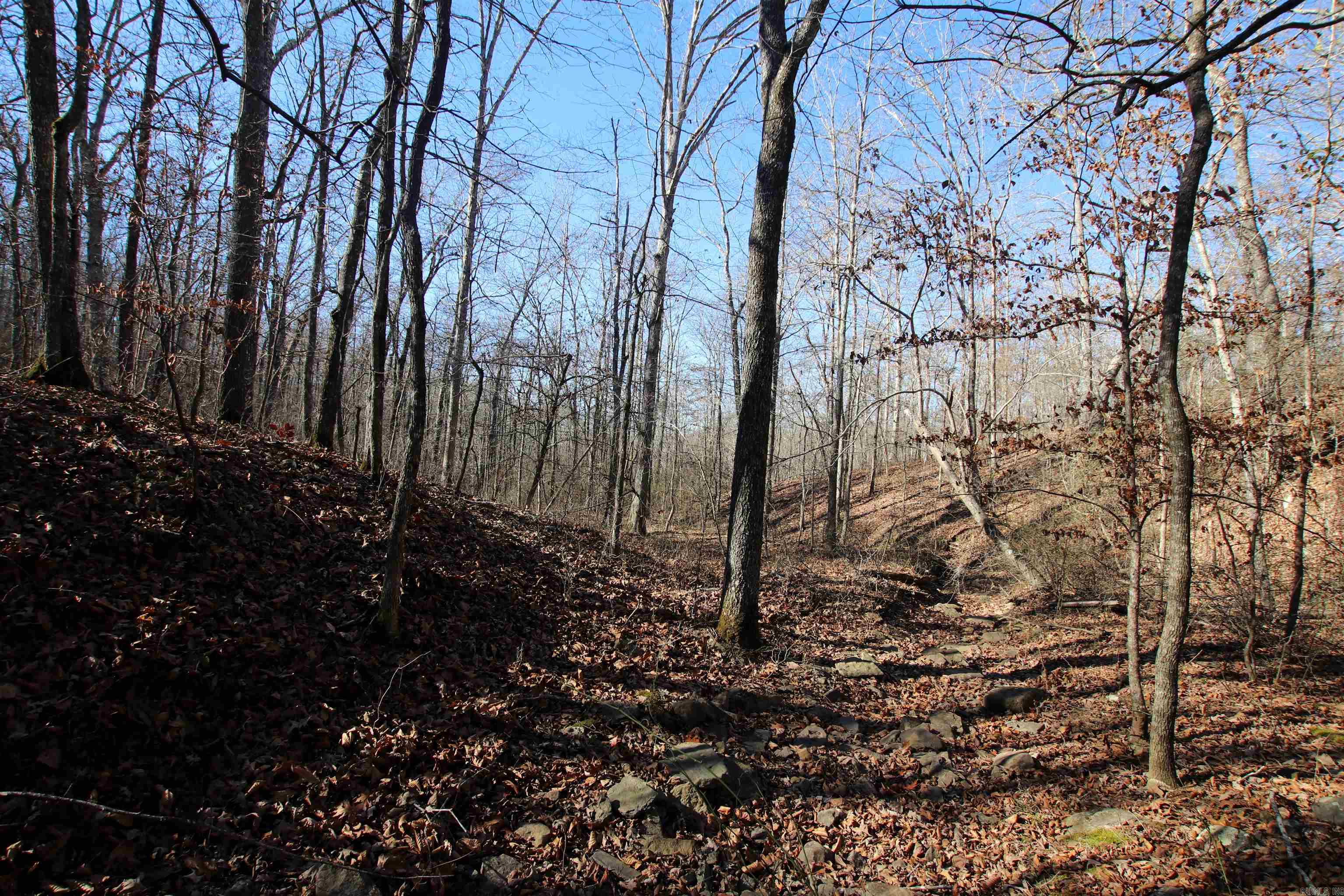 239 Mill Creek  Jerusalem, AR