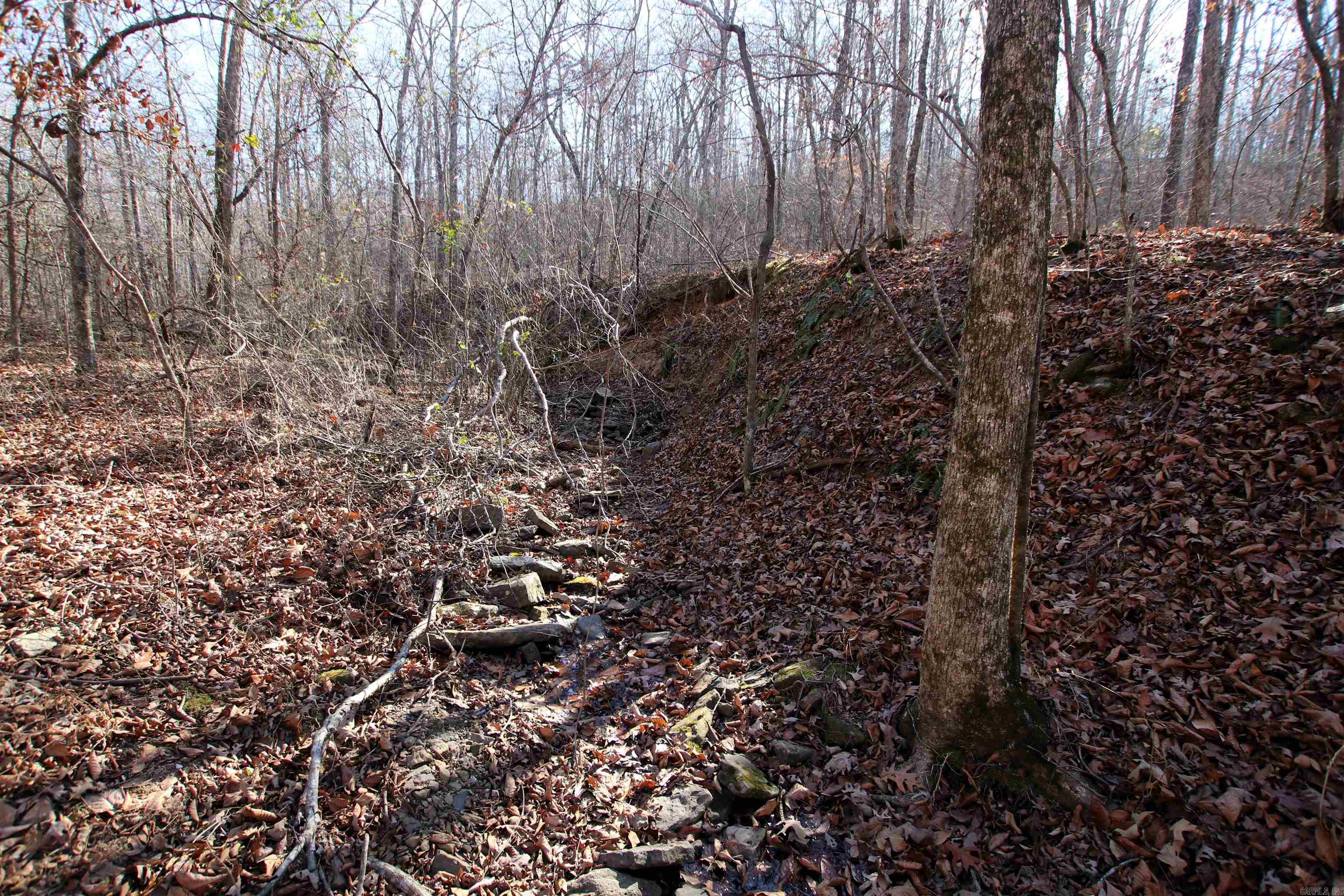 239 Mill Creek  Jerusalem, AR