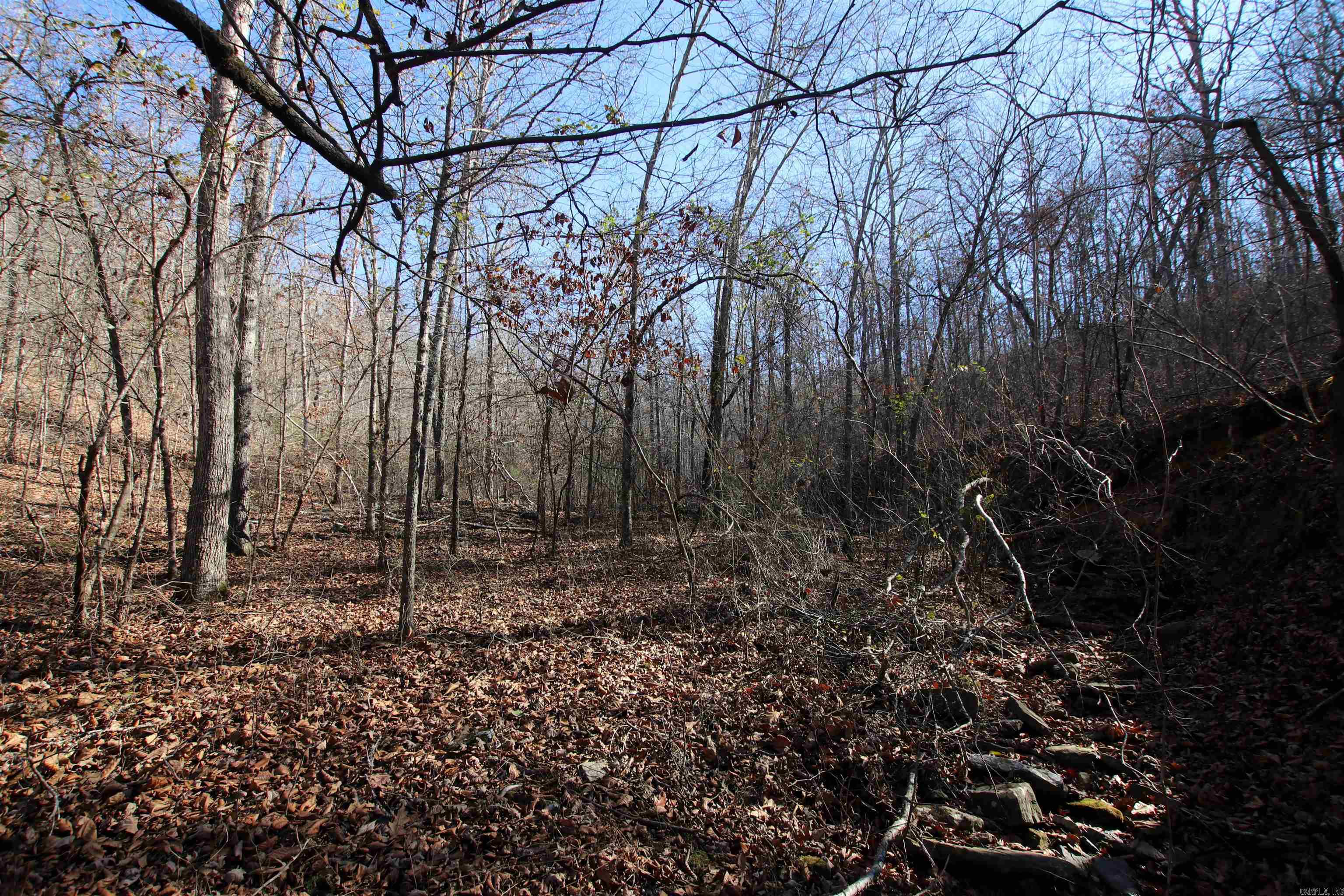 239 Mill Creek  Jerusalem, AR