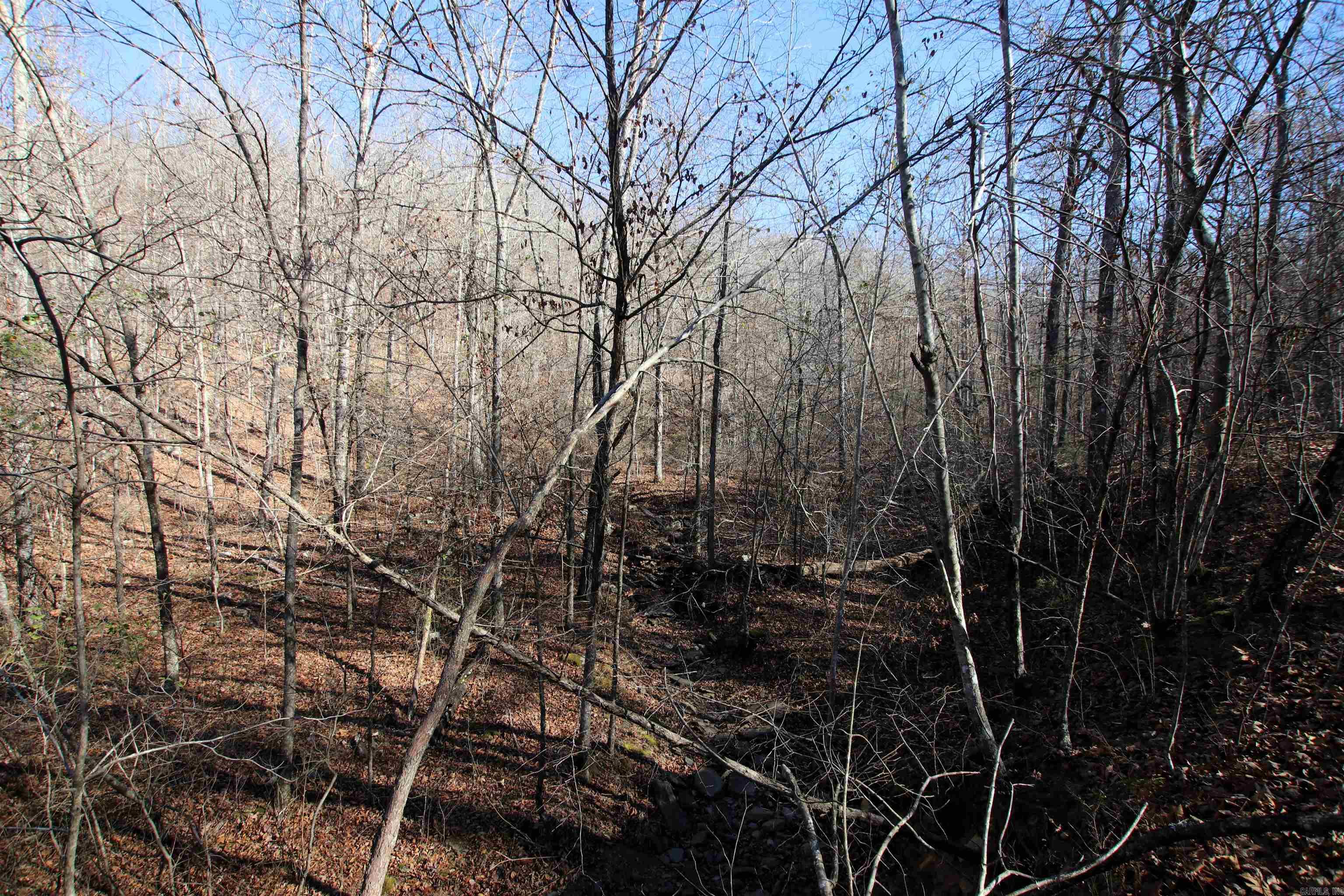 239 Mill Creek  Jerusalem, AR