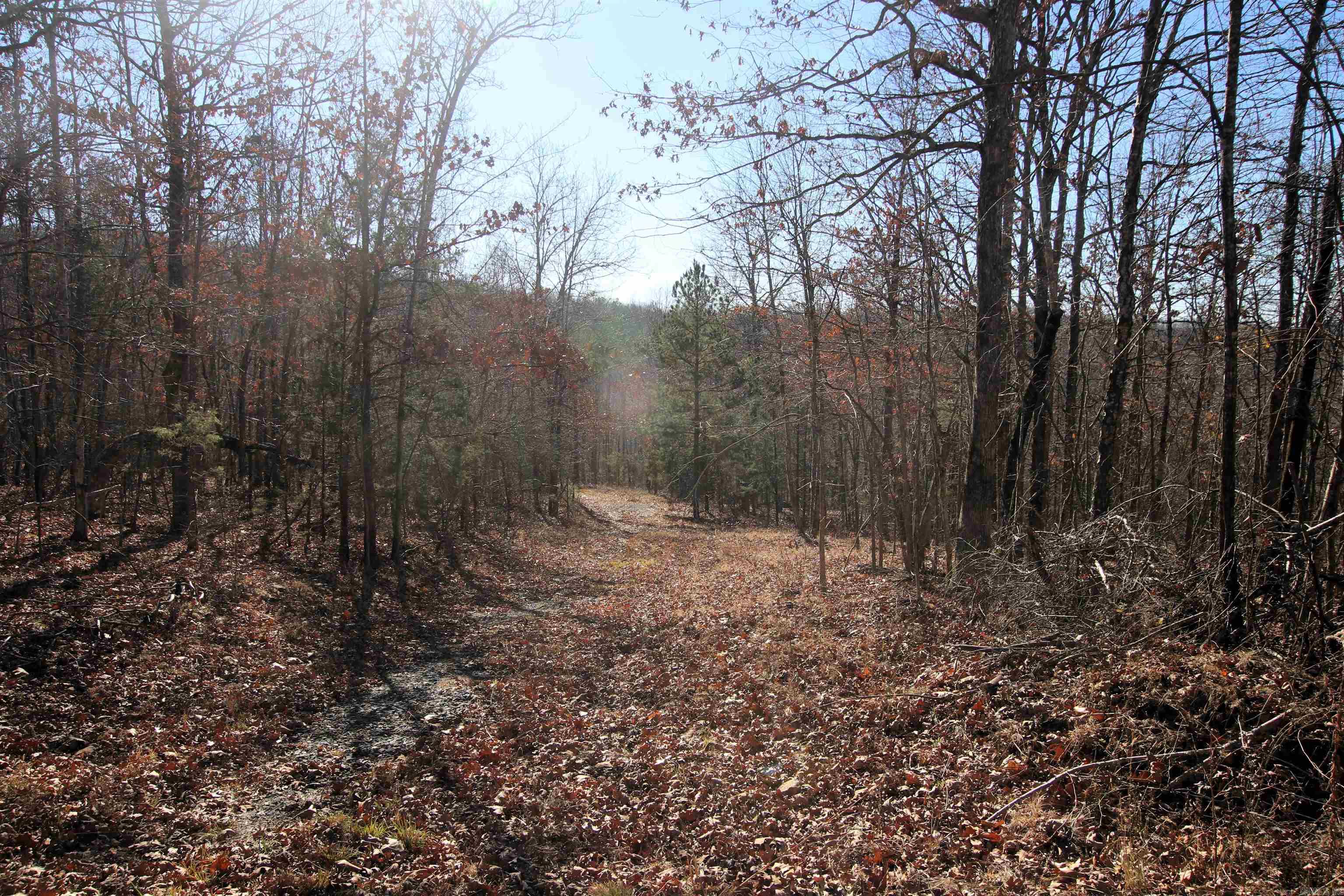 239 Mill Creek  Jerusalem, AR