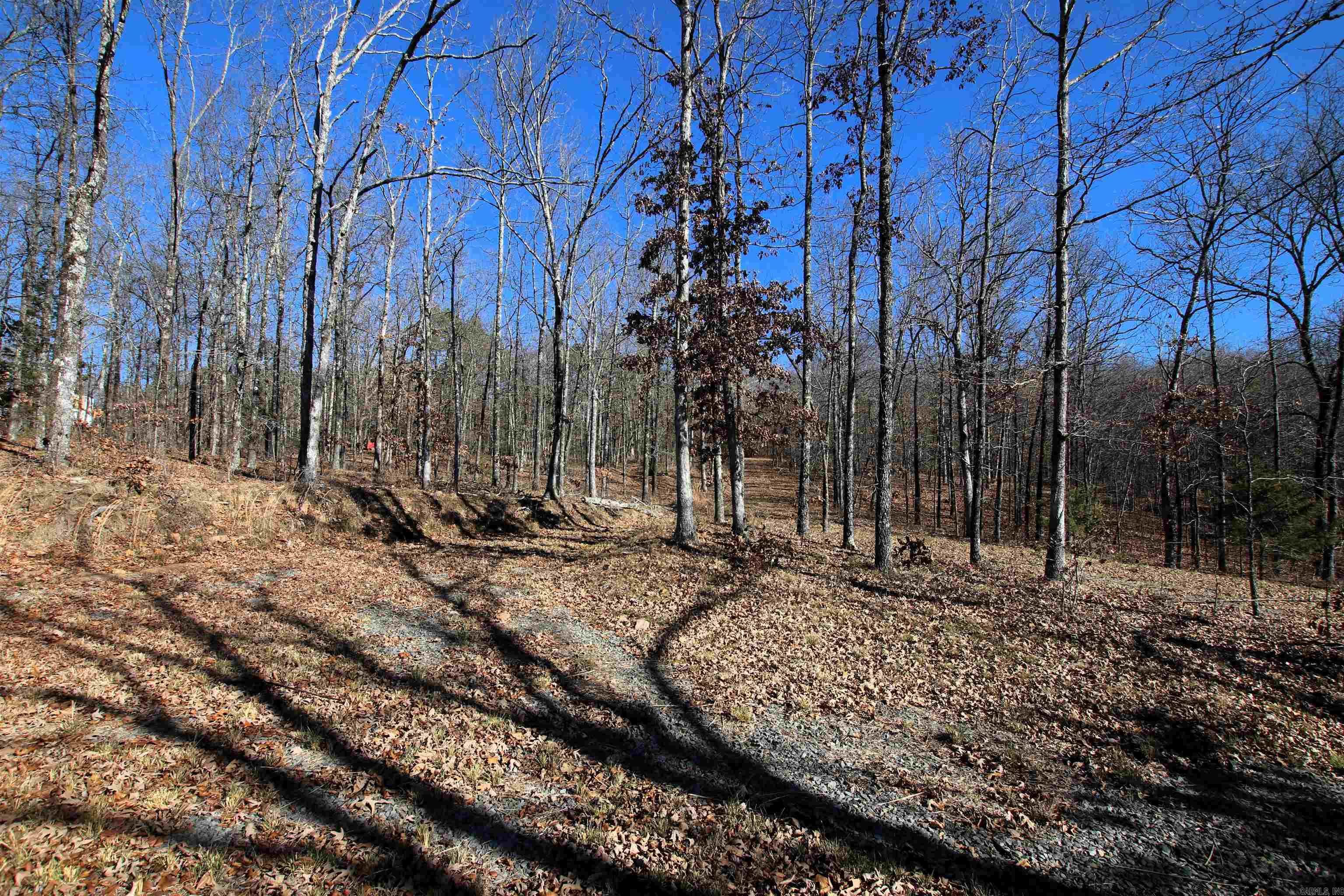 239 Mill Creek  Jerusalem, AR