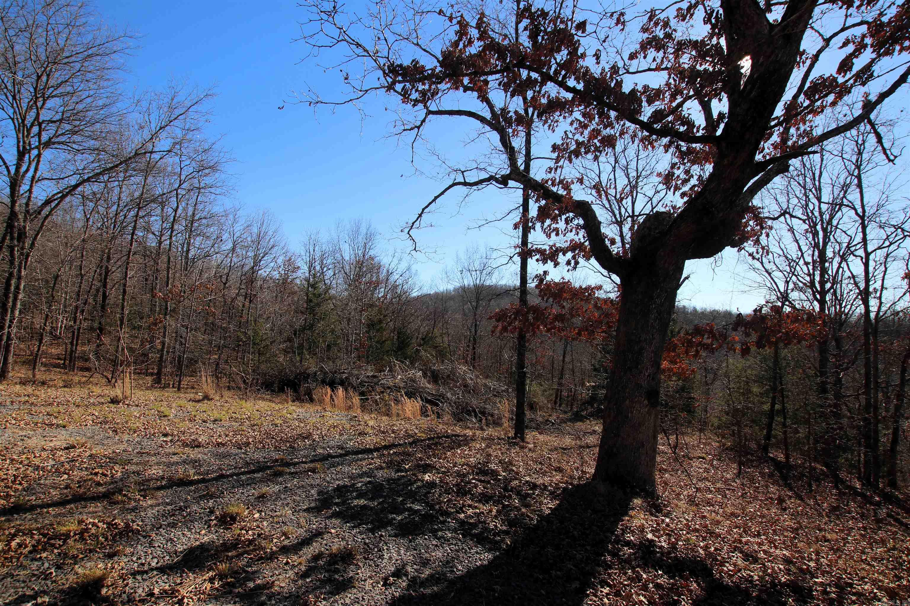 239 Mill Creek  Jerusalem, AR