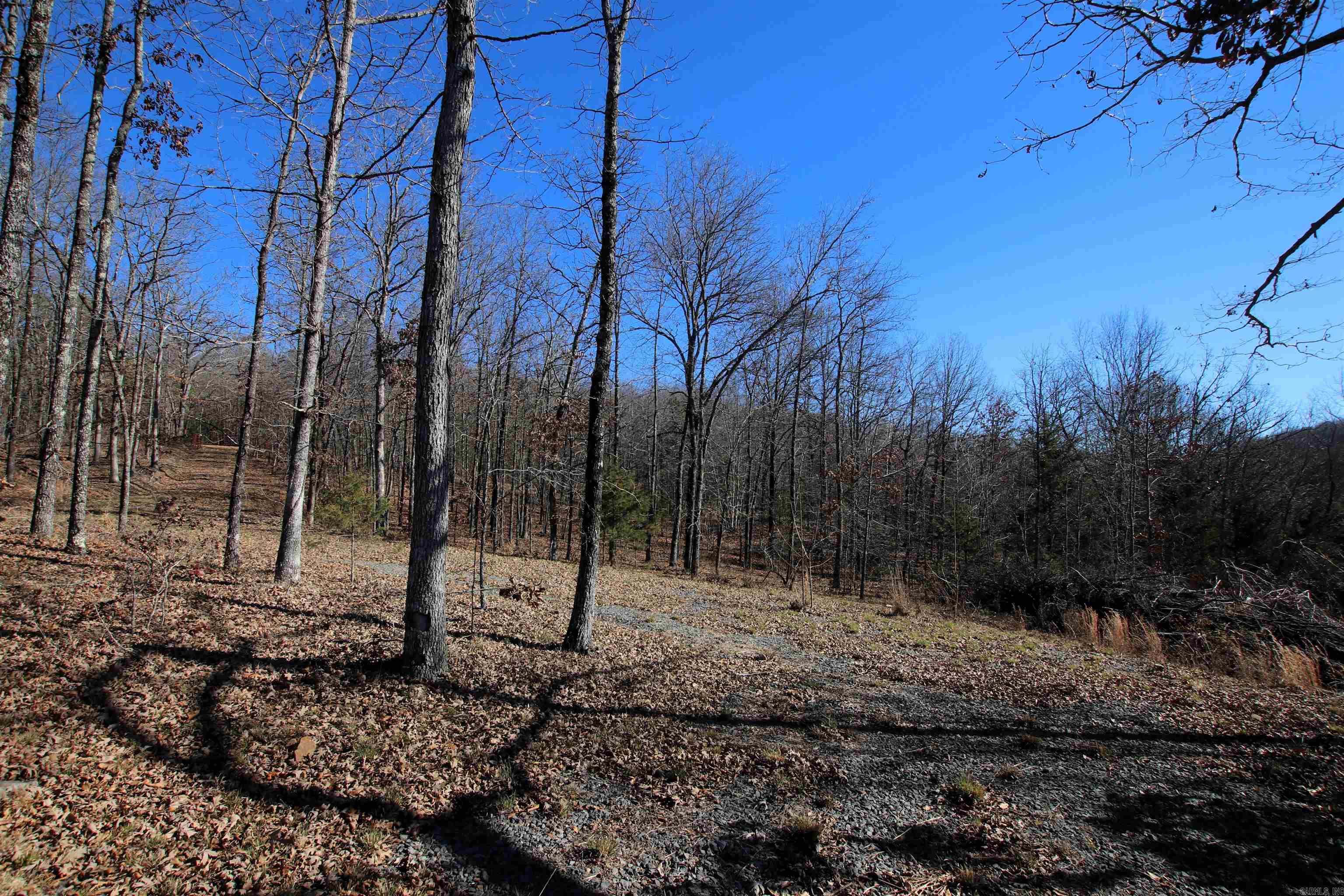 239 Mill Creek  Jerusalem, AR