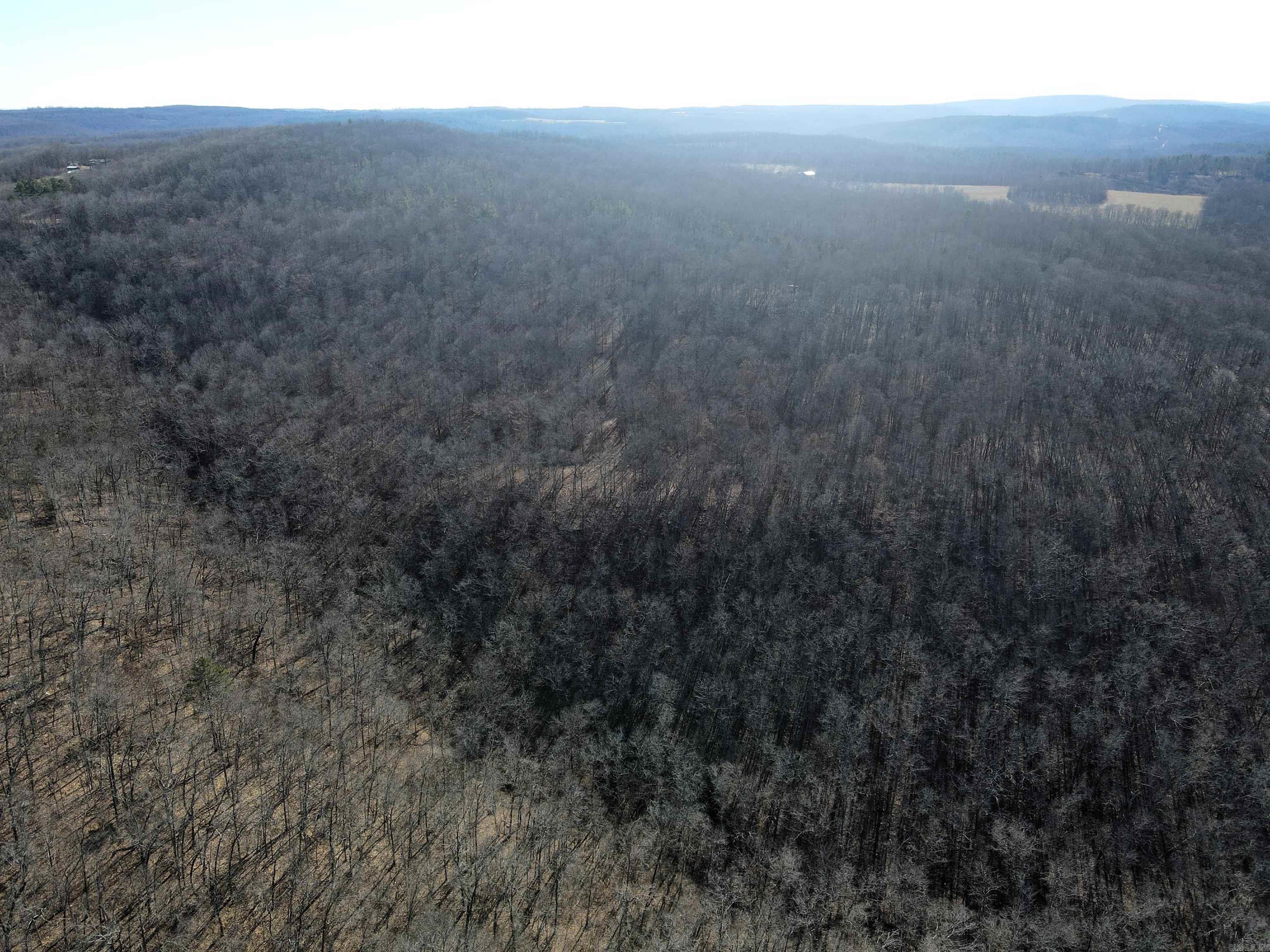 239 Mill Creek  Jerusalem, AR