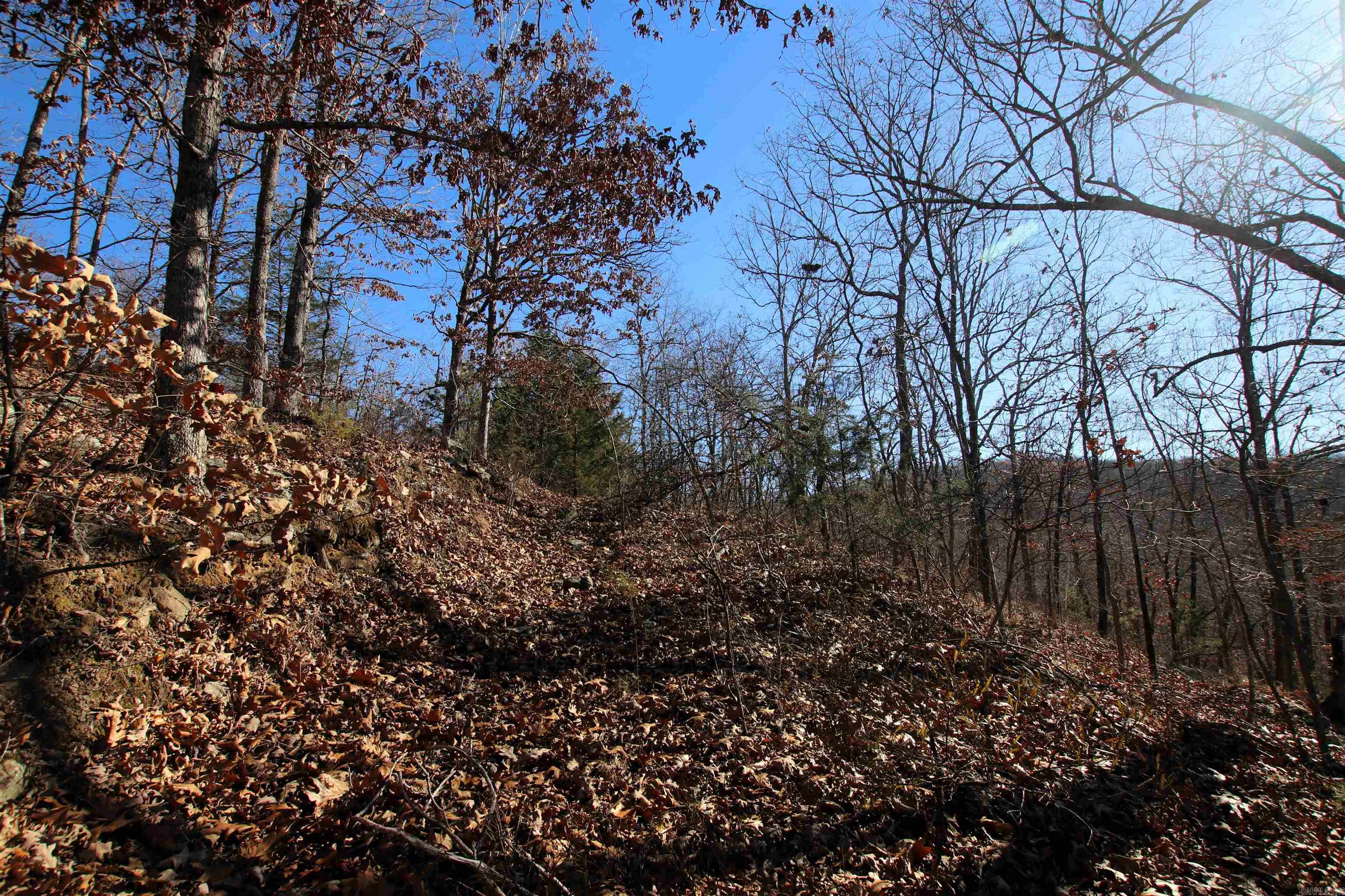 239 Mill Creek  Jerusalem, AR