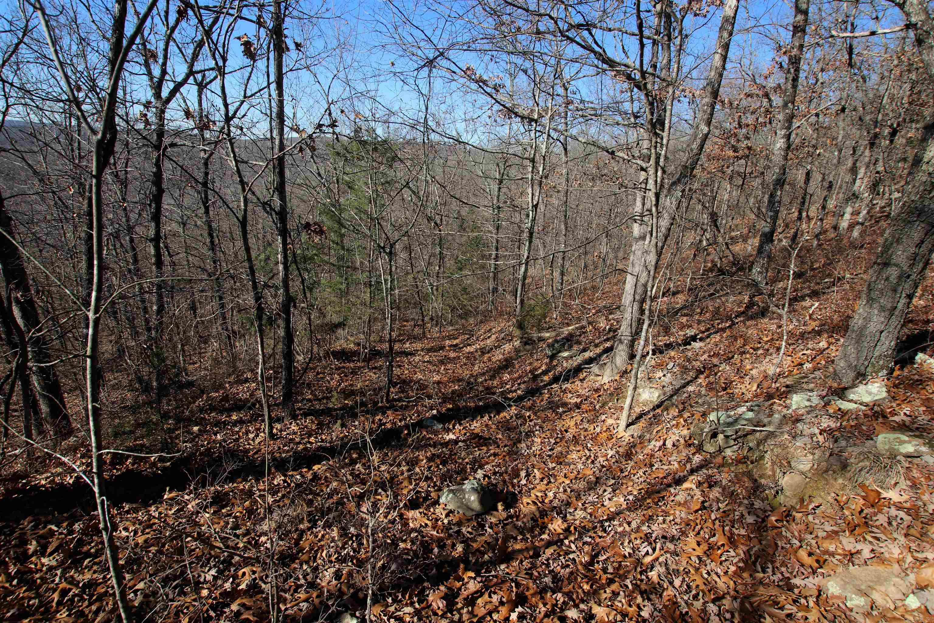 239 Mill Creek  Jerusalem, AR