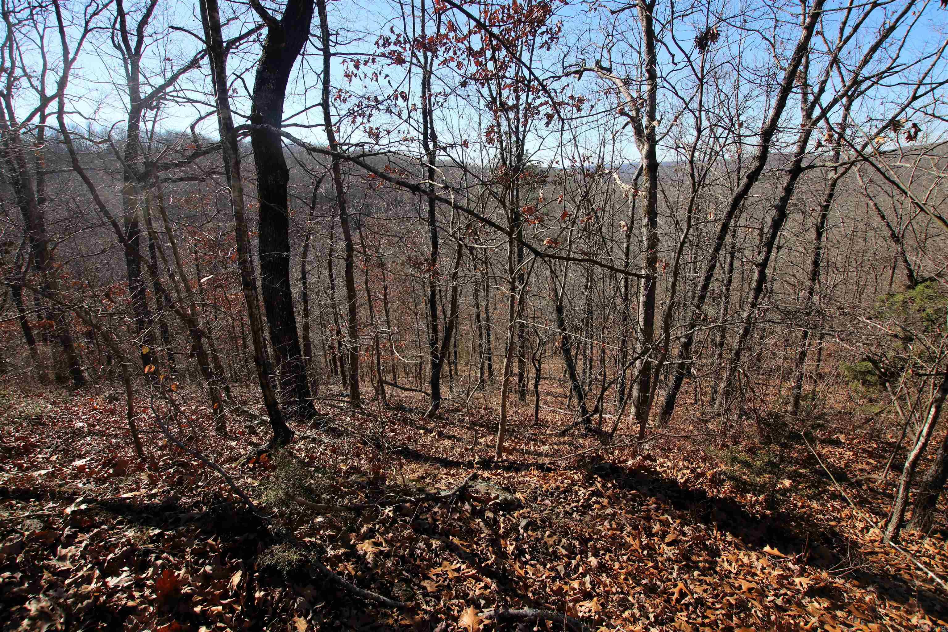 239 Mill Creek  Jerusalem, AR