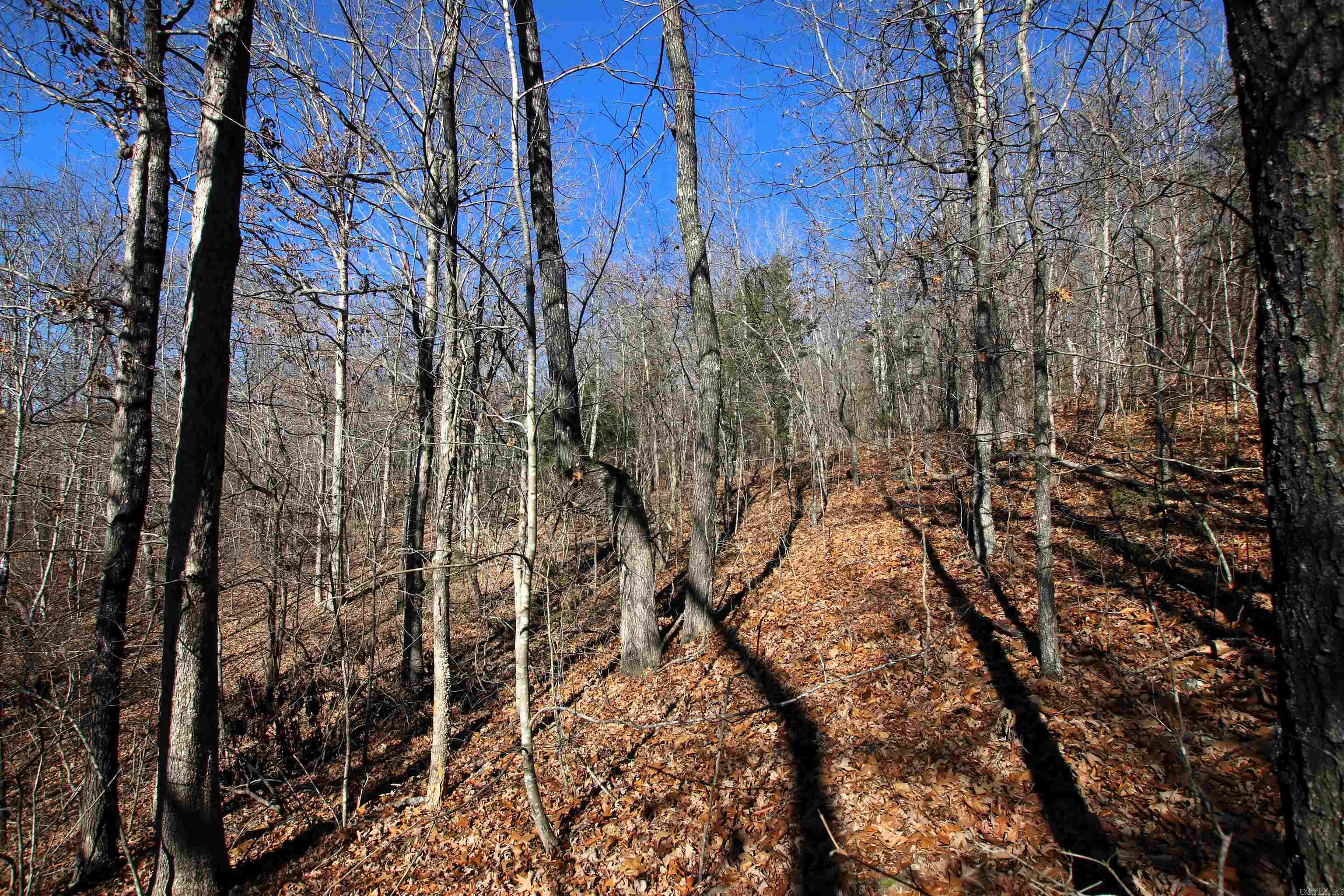 239 Mill Creek  Jerusalem, AR