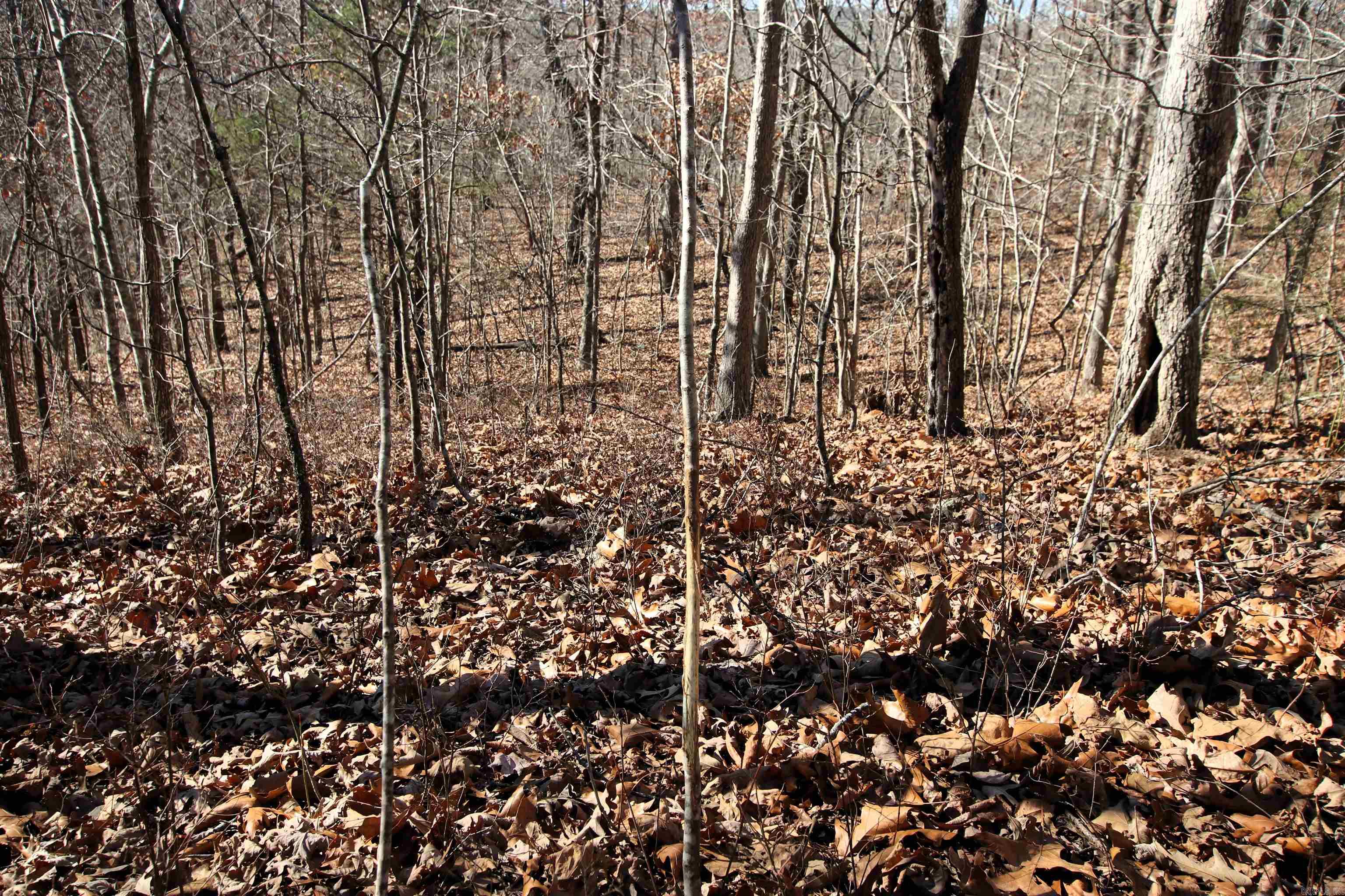 239 Mill Creek  Jerusalem, AR