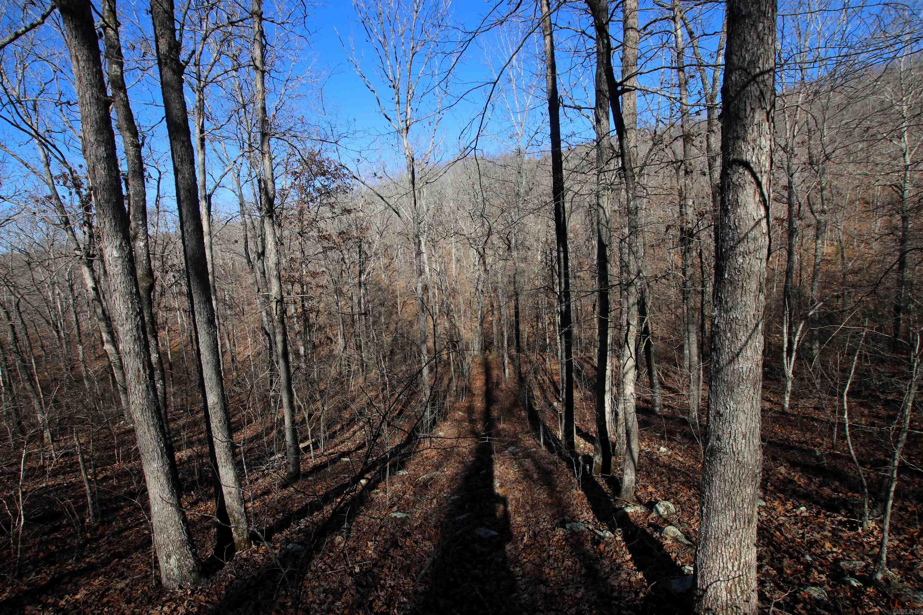 239 Mill Creek  Jerusalem, AR