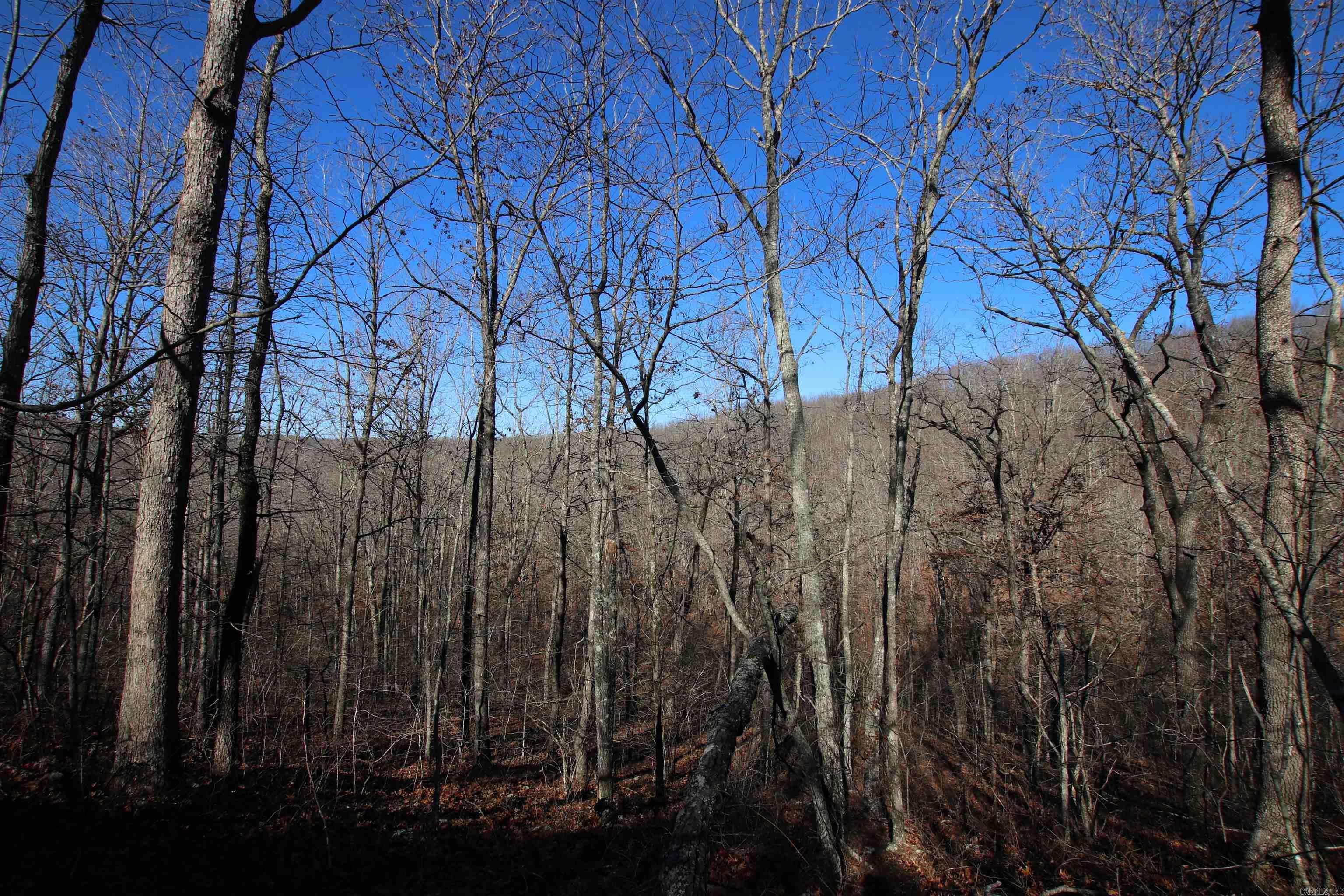 239 Mill Creek  Jerusalem, AR