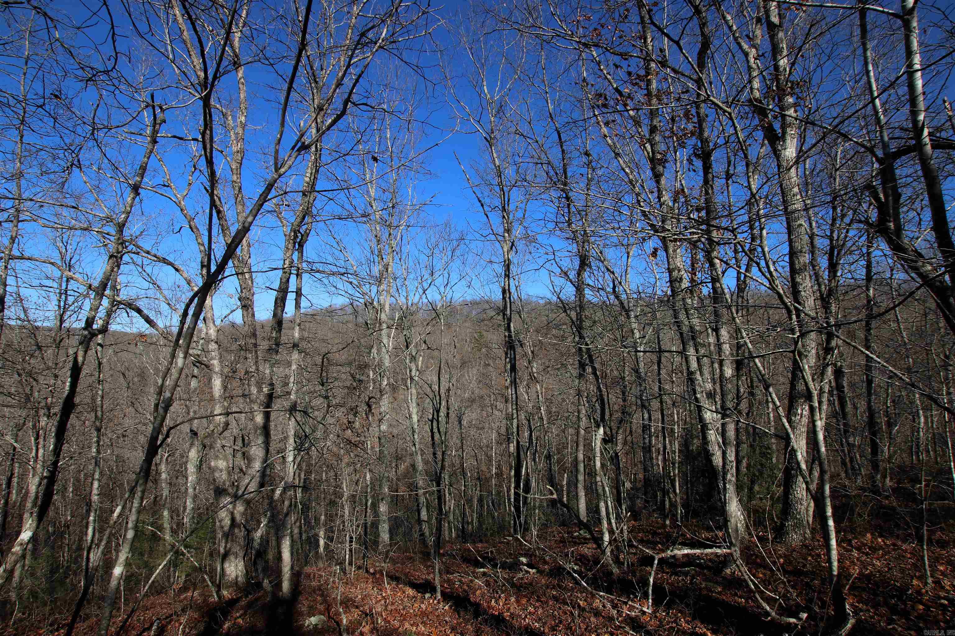 239 Mill Creek  Jerusalem, AR