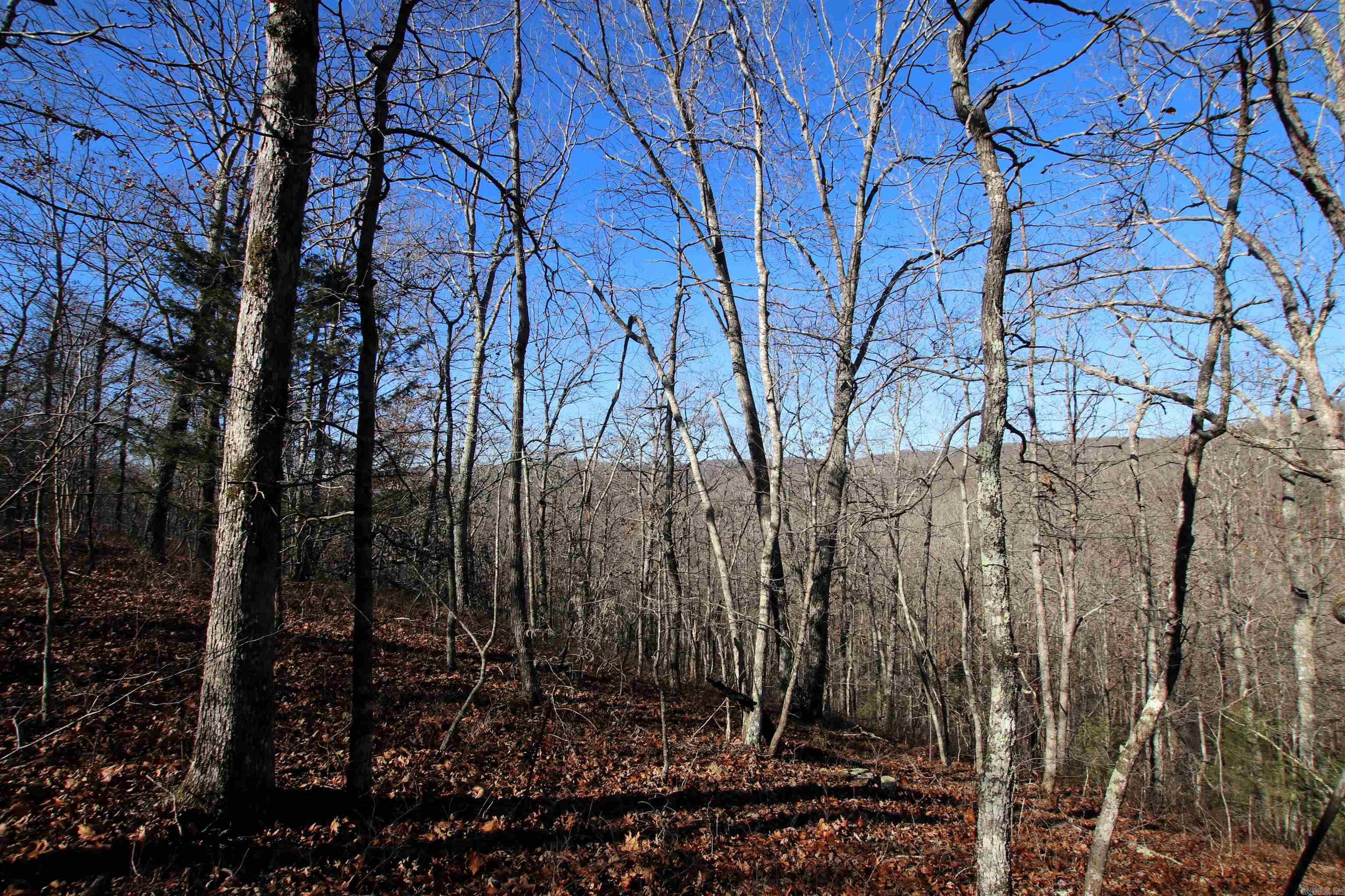 239 Mill Creek  Jerusalem, AR