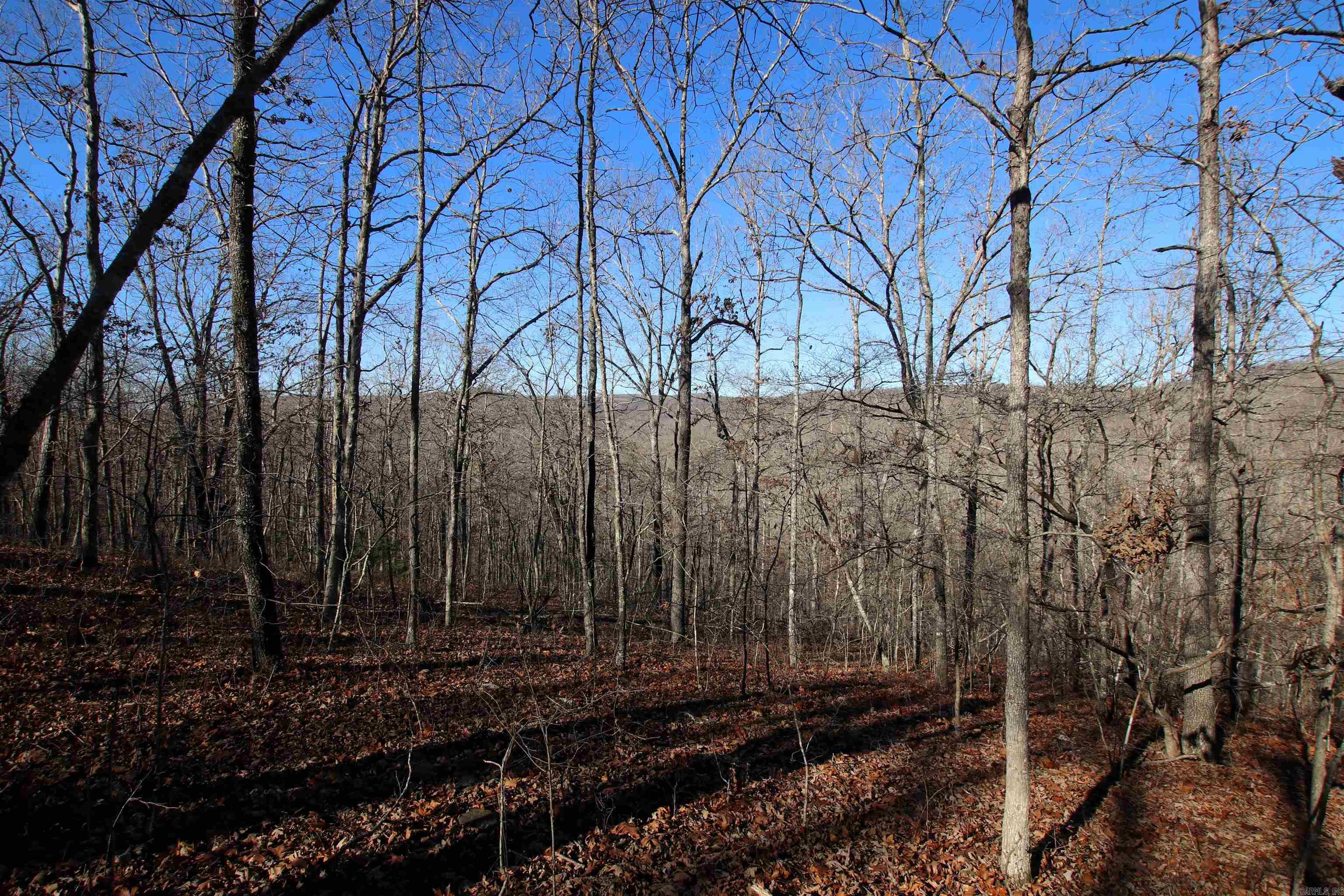 239 Mill Creek  Jerusalem, AR