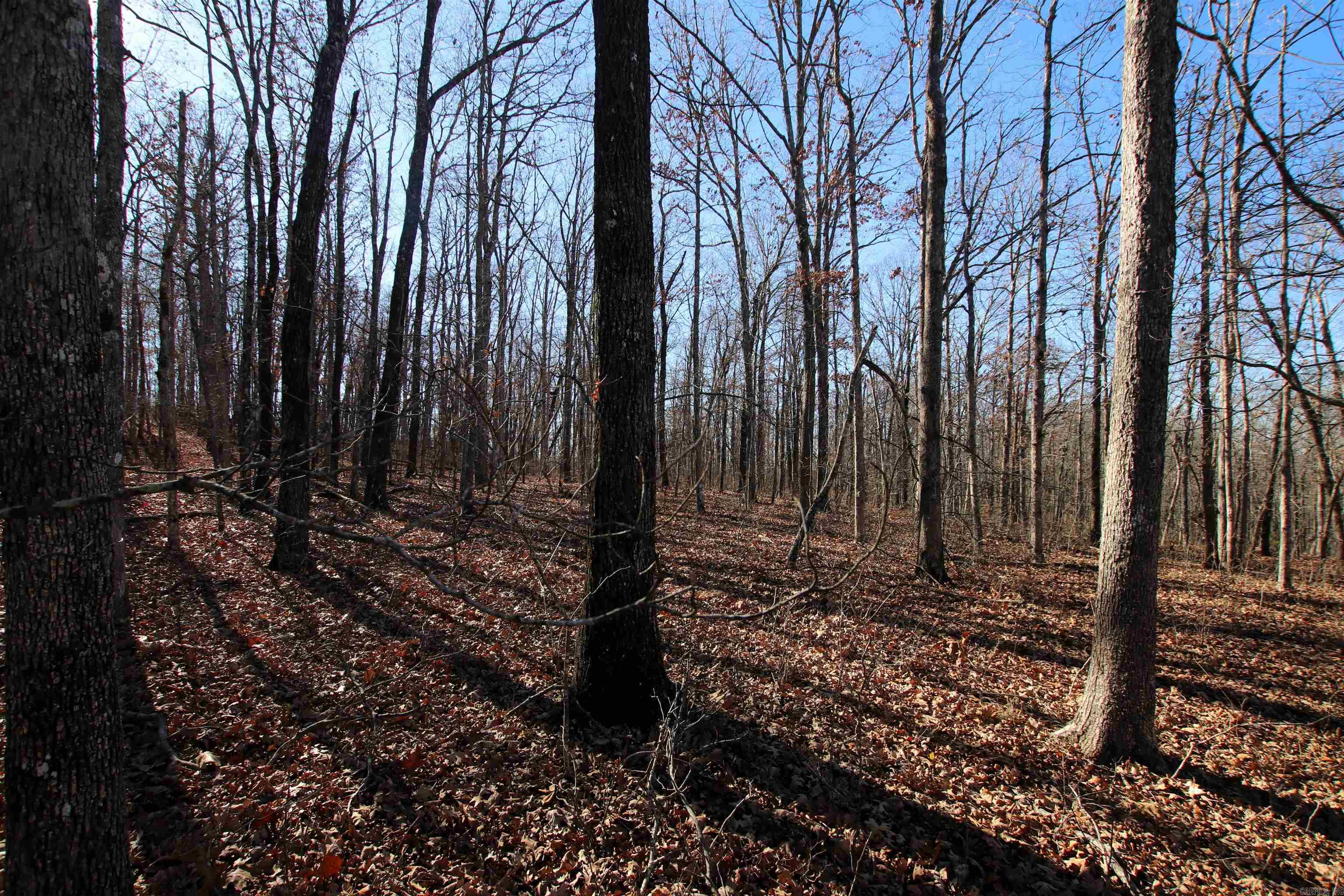 239 Mill Creek  Jerusalem, AR