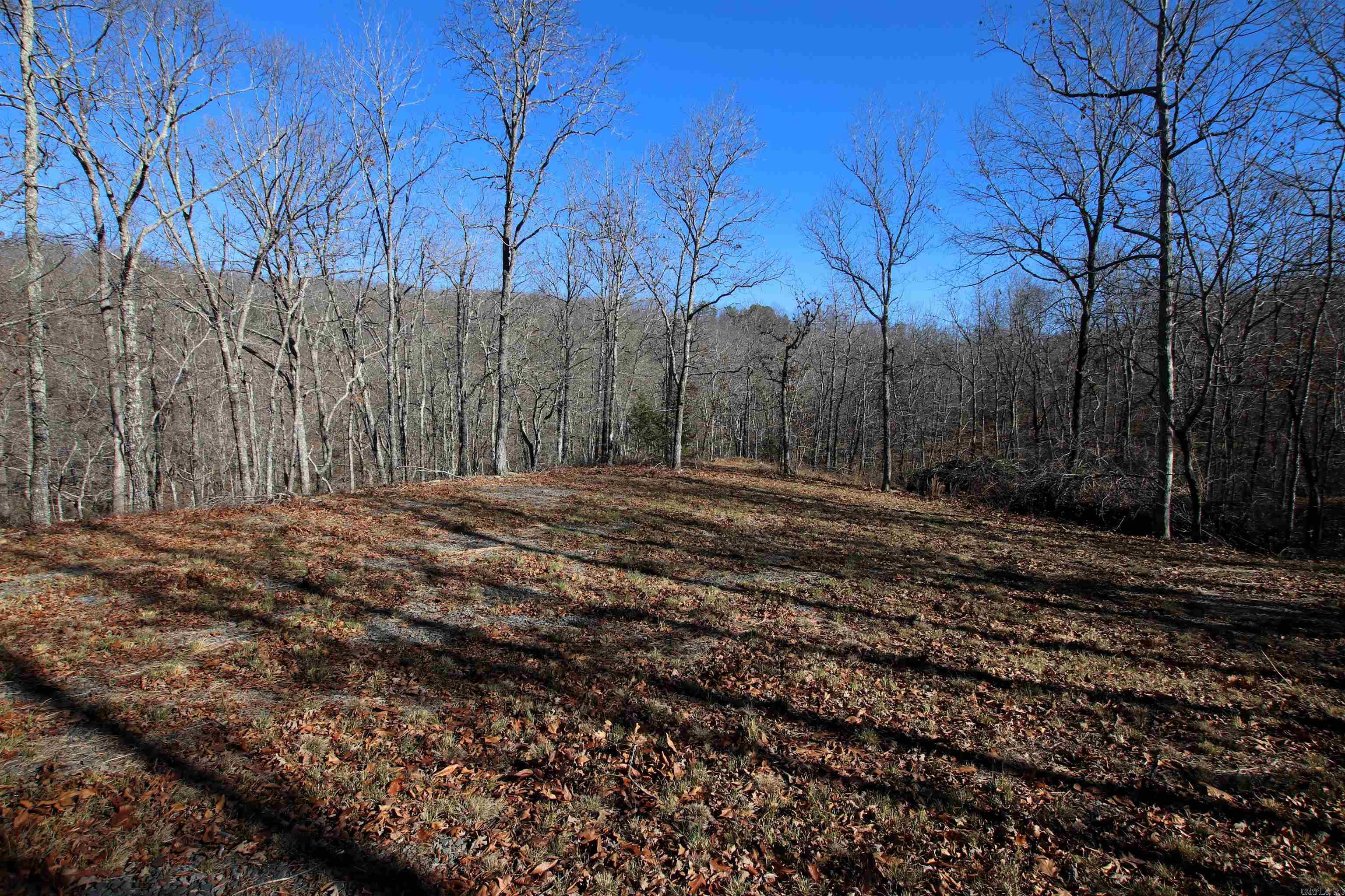 239 Mill Creek  Jerusalem, AR