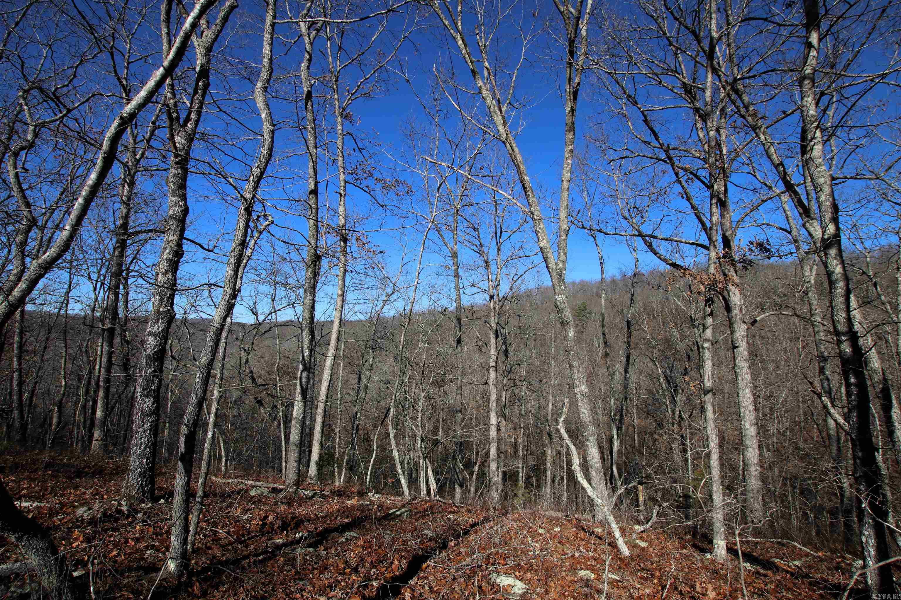 239 Mill Creek  Jerusalem, AR