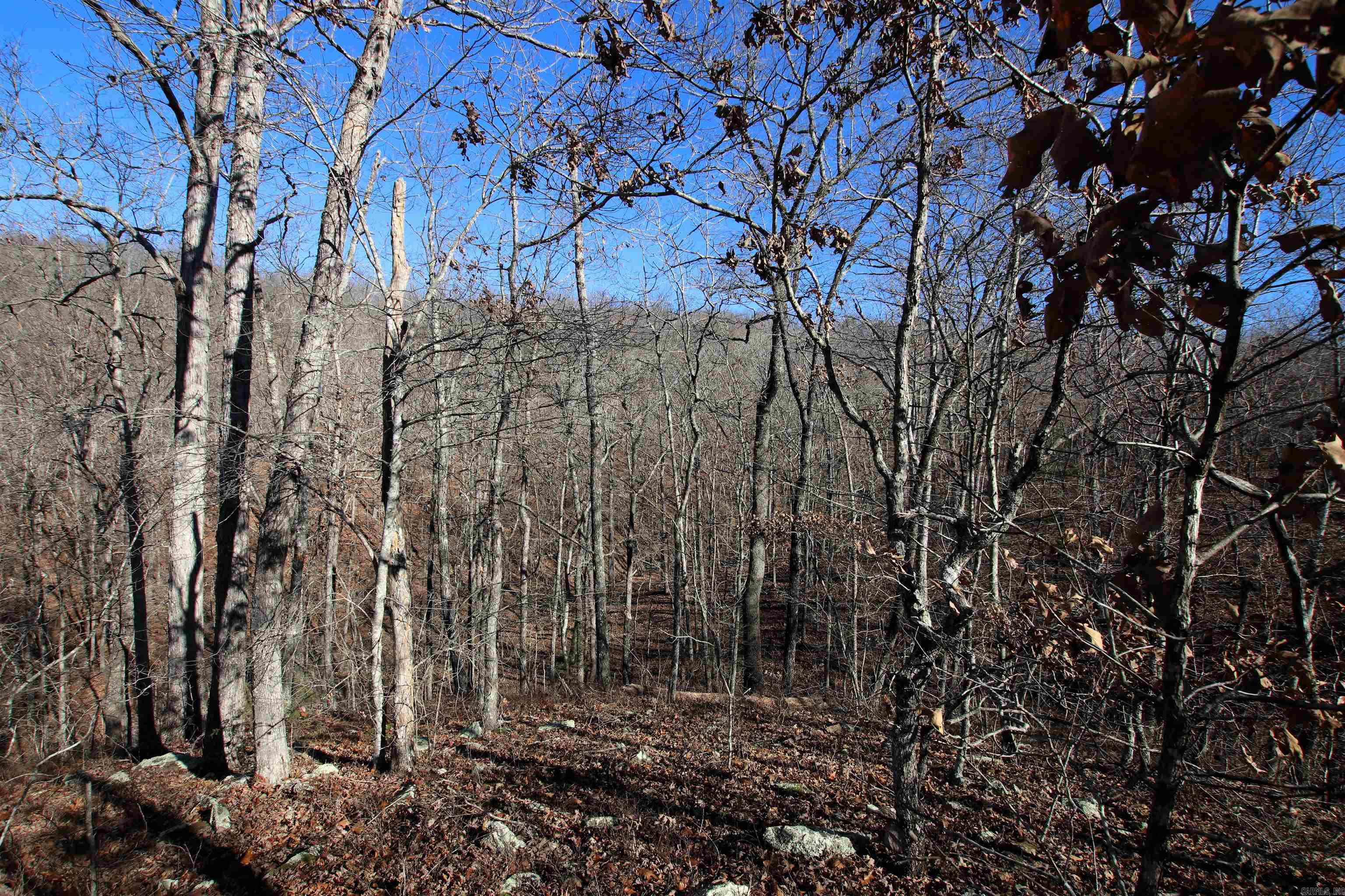 239 Mill Creek  Jerusalem, AR