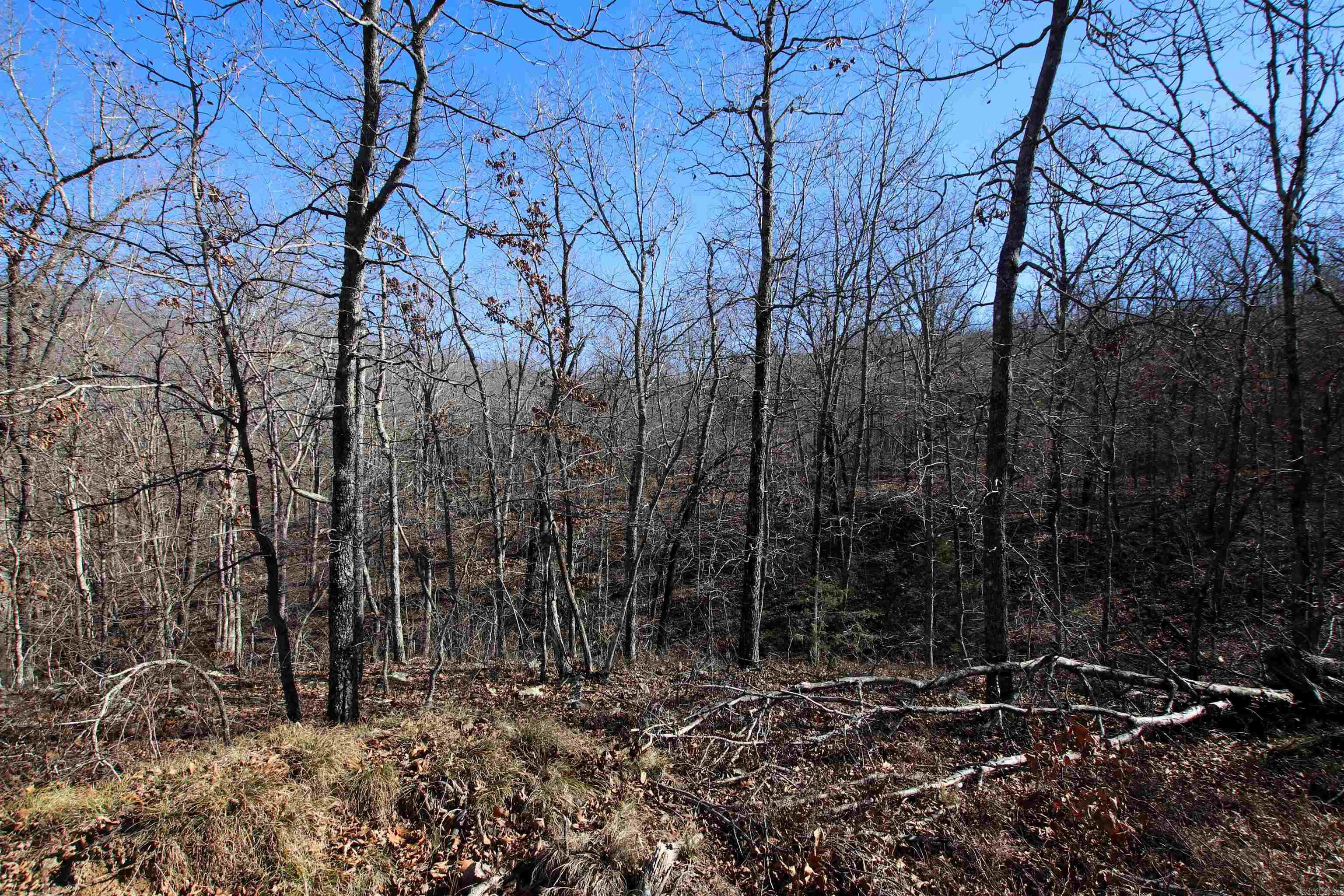 239 Mill Creek  Jerusalem, AR