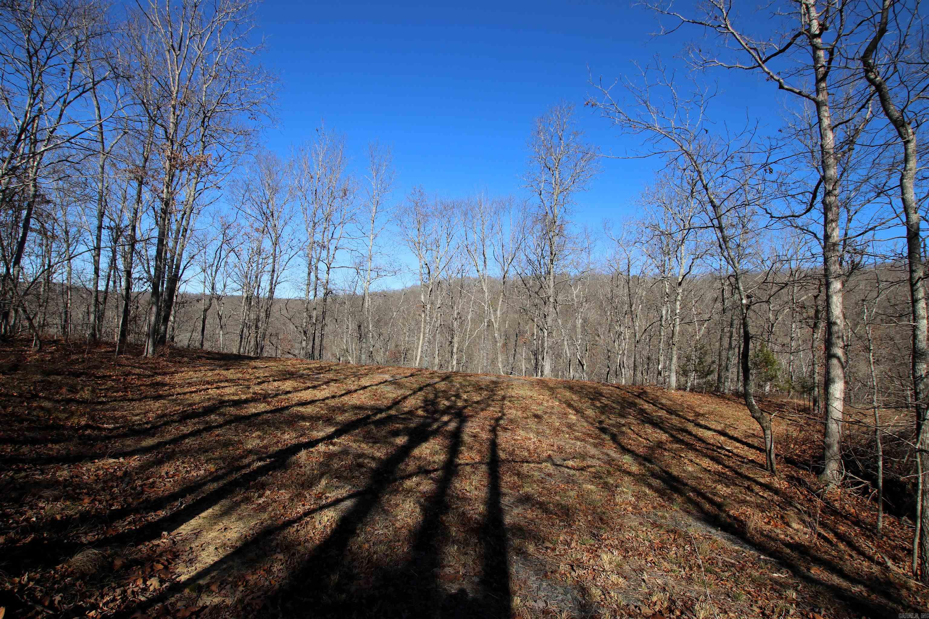 239 Mill Creek  Jerusalem, AR