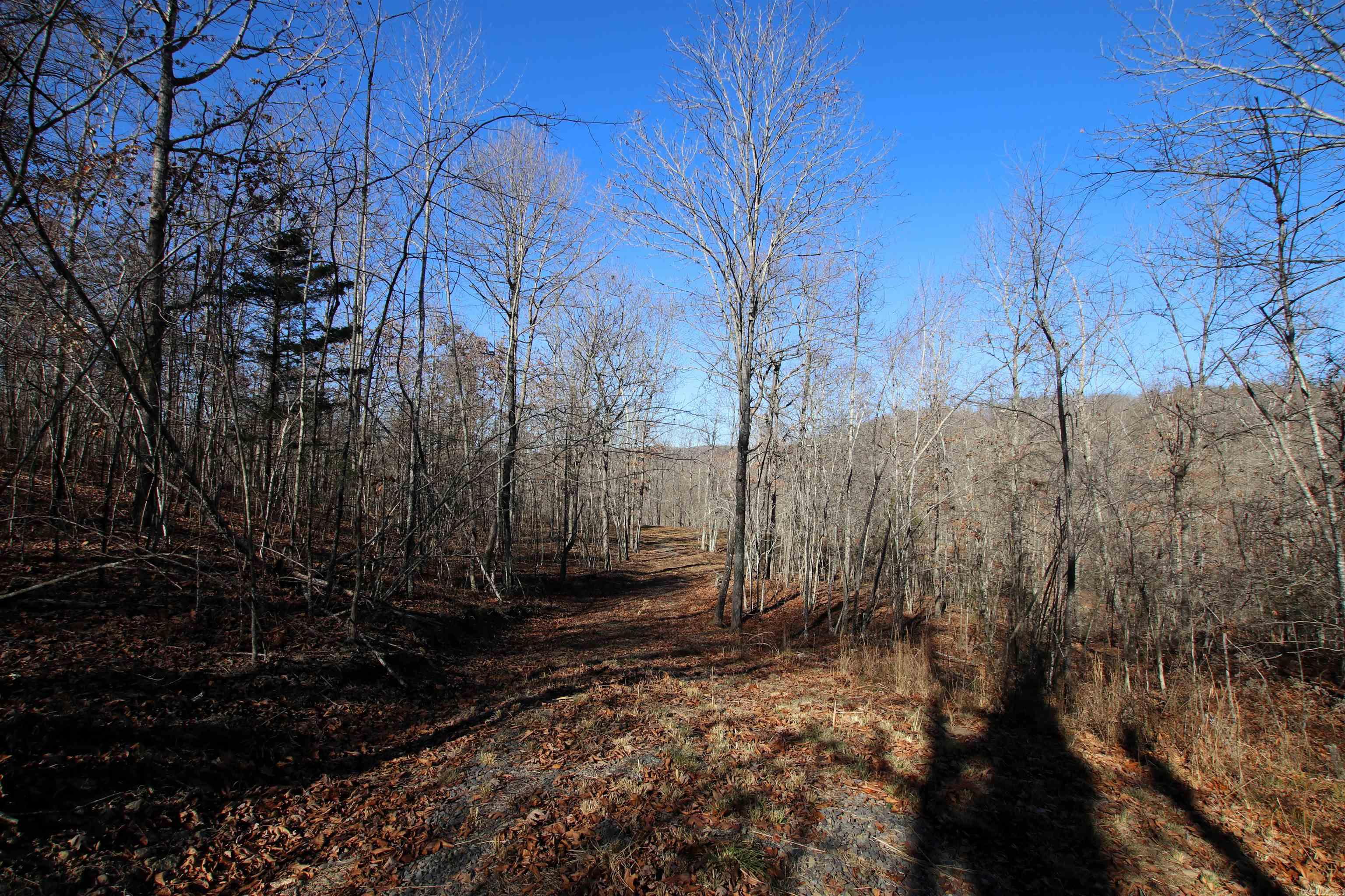 239 Mill Creek  Jerusalem, AR