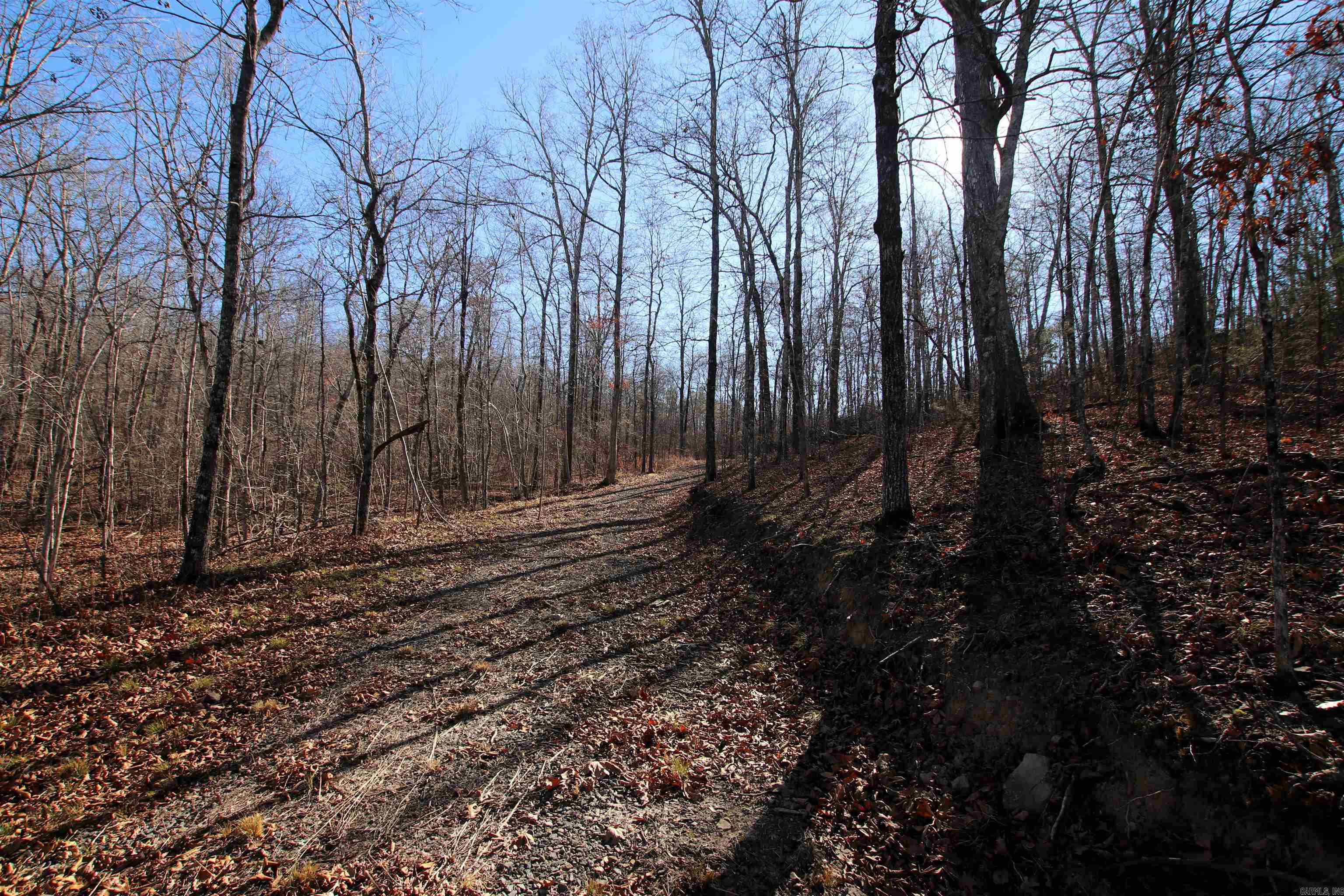 239 Mill Creek  Jerusalem, AR