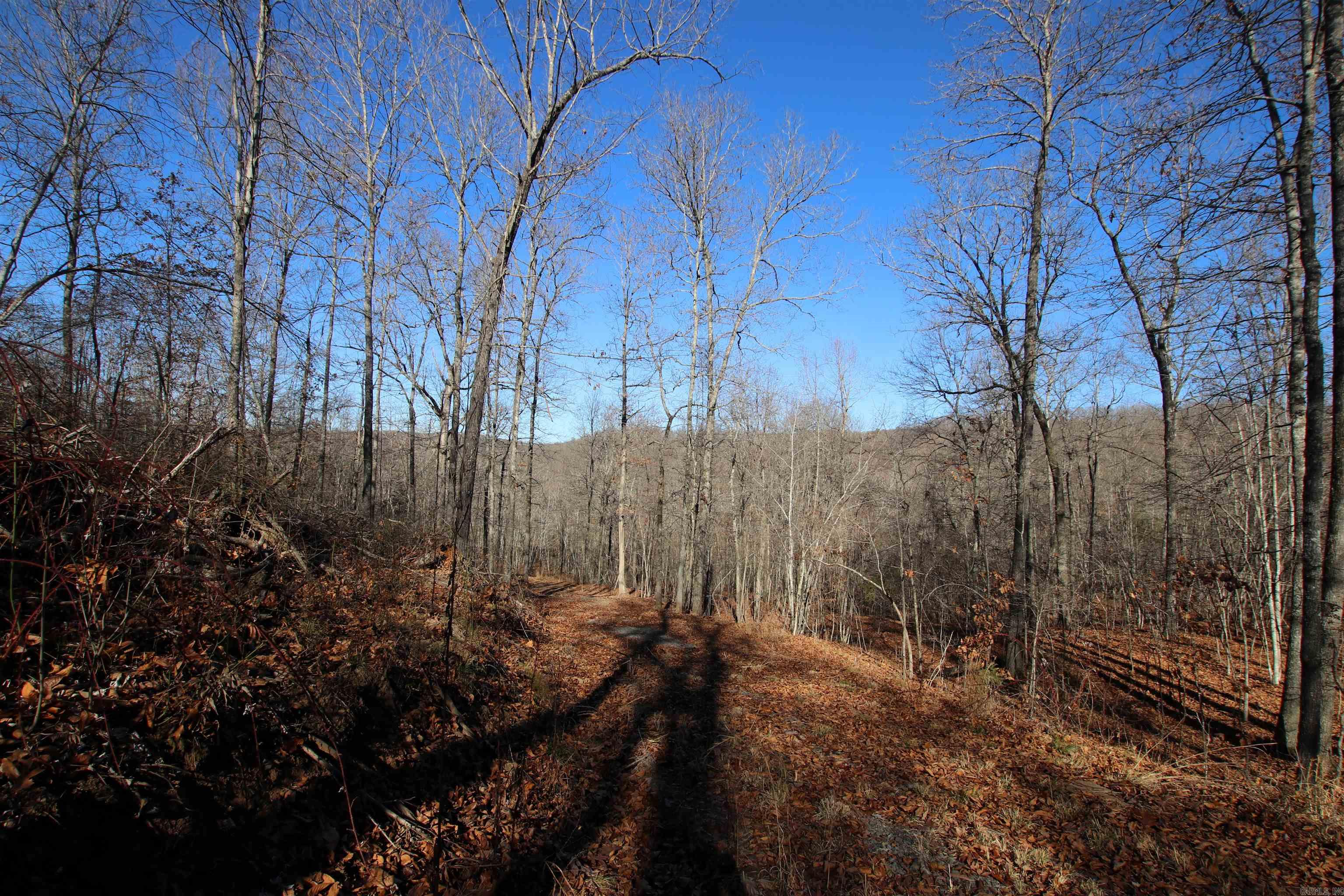 239 Mill Creek  Jerusalem, AR