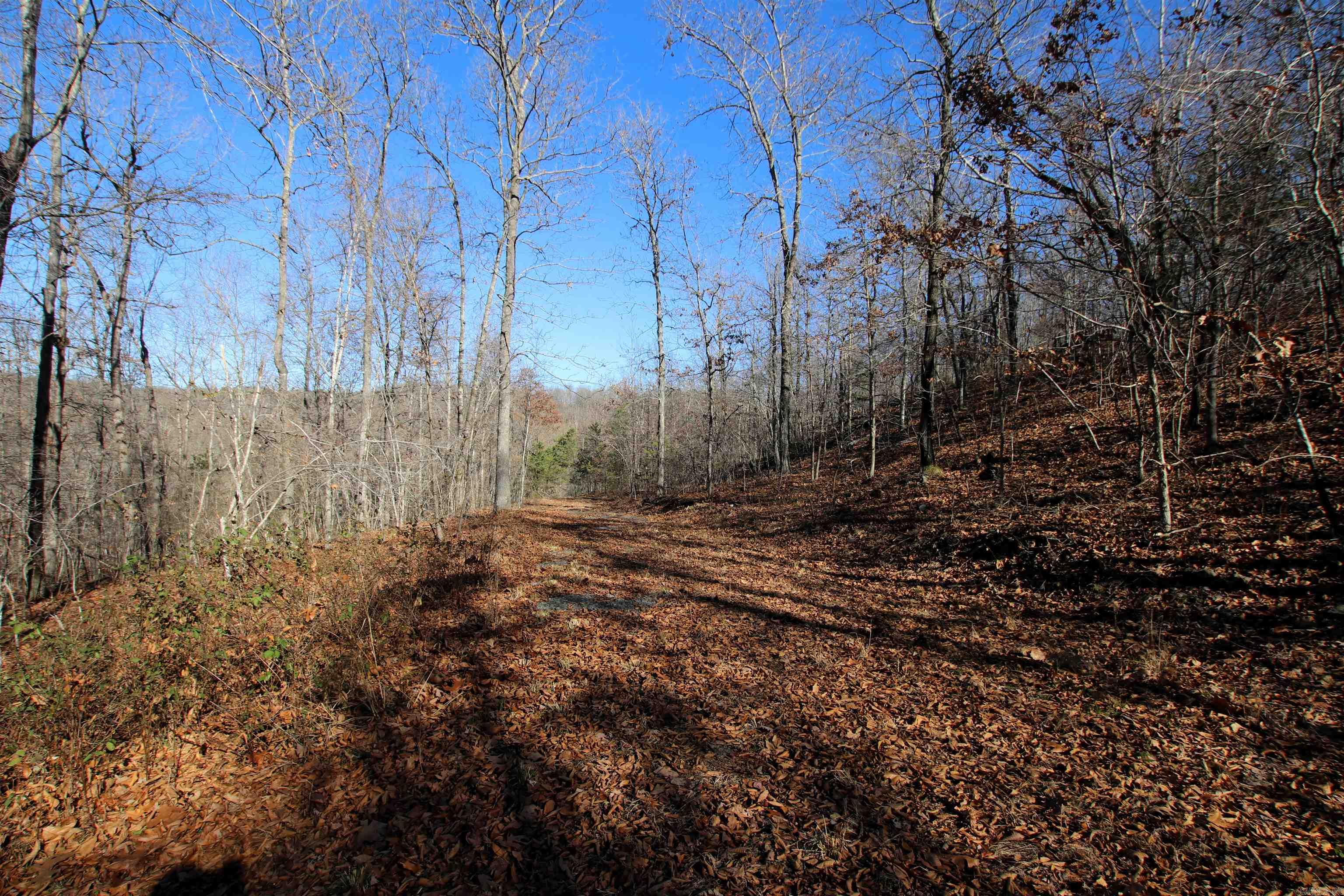 239 Mill Creek  Jerusalem, AR