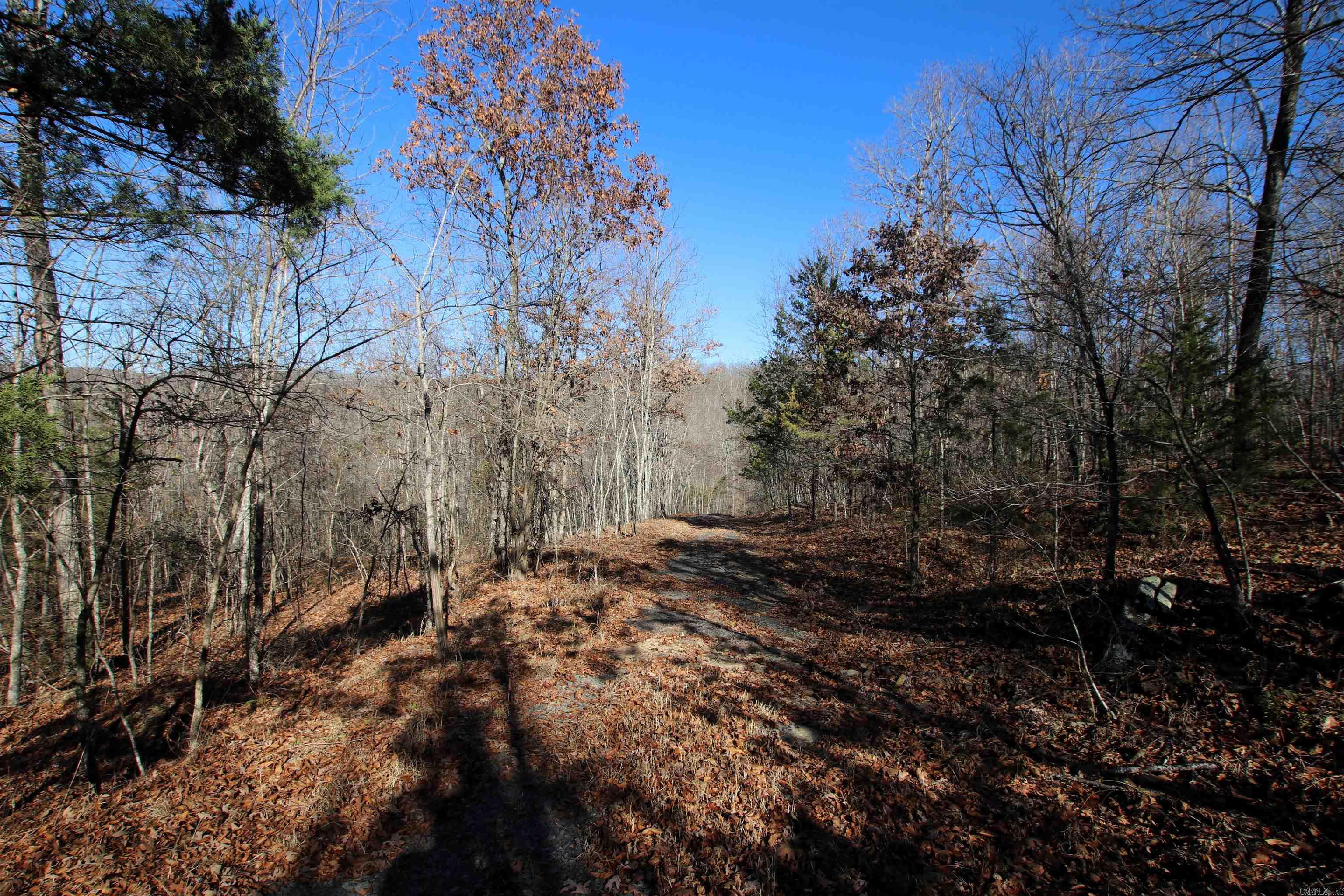 239 Mill Creek  Jerusalem, AR