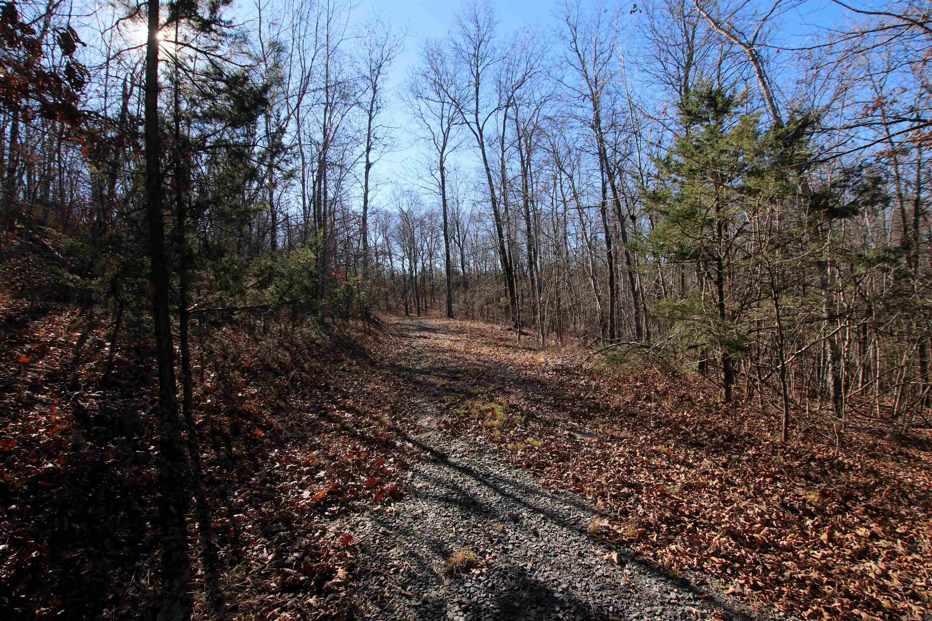 239 Mill Creek  Jerusalem, AR