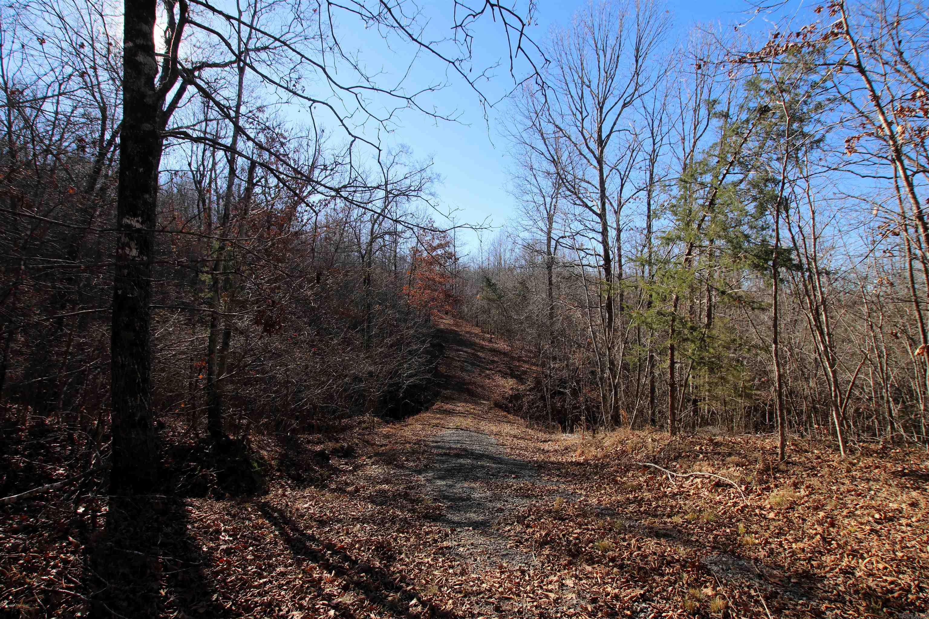 239 Mill Creek  Jerusalem, AR