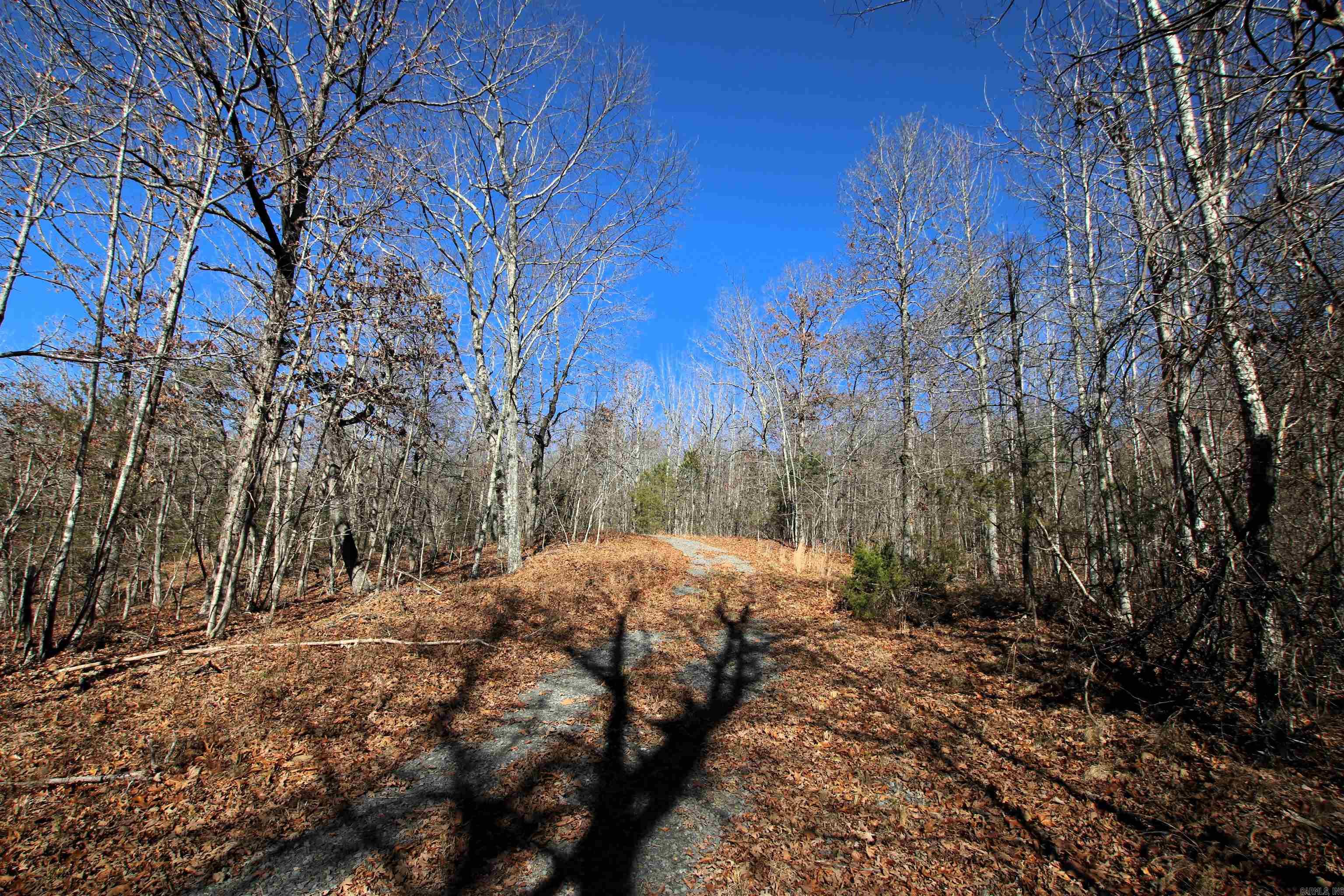 239 Mill Creek  Jerusalem, AR