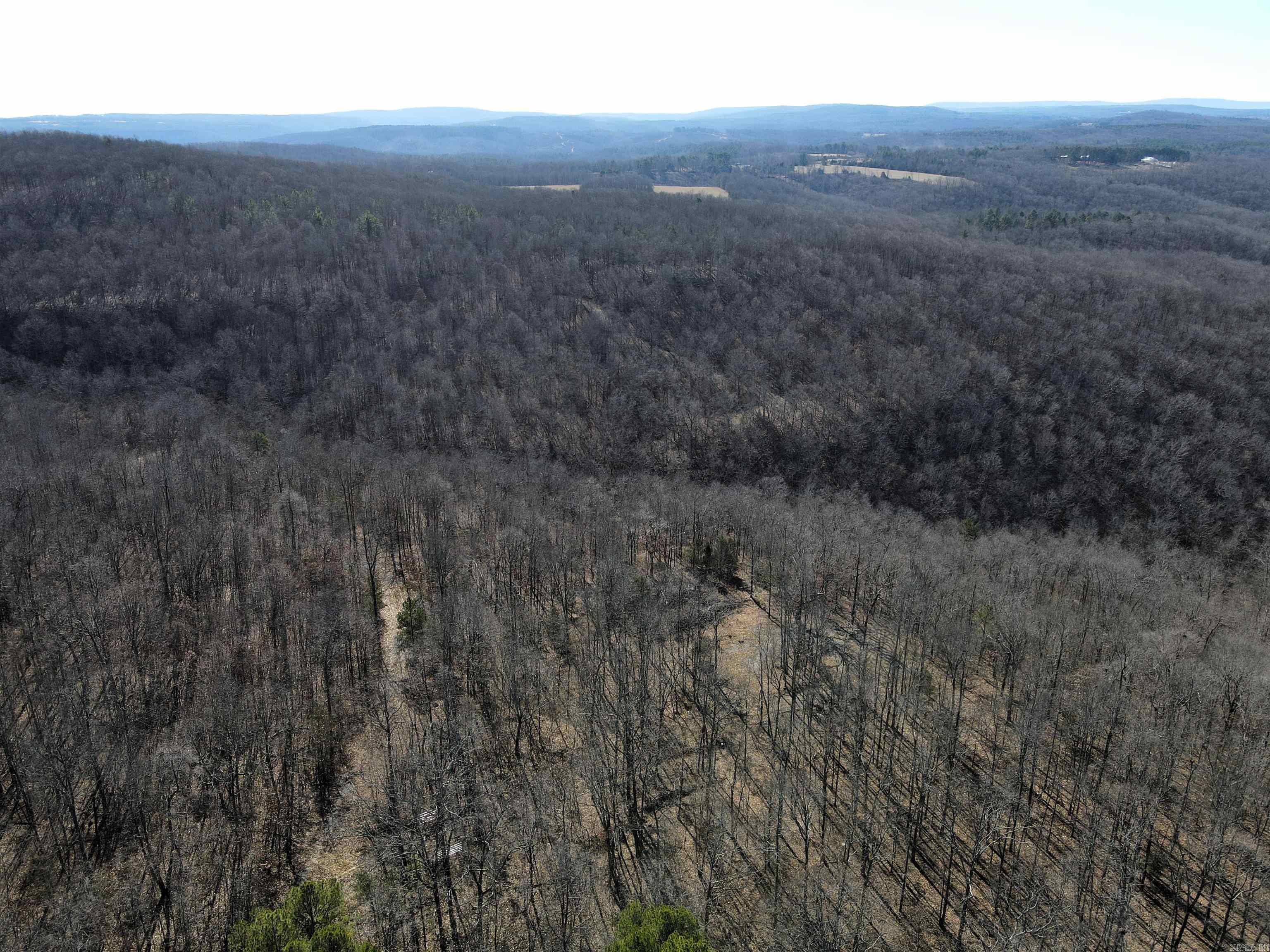 239 Mill Creek  Jerusalem, AR