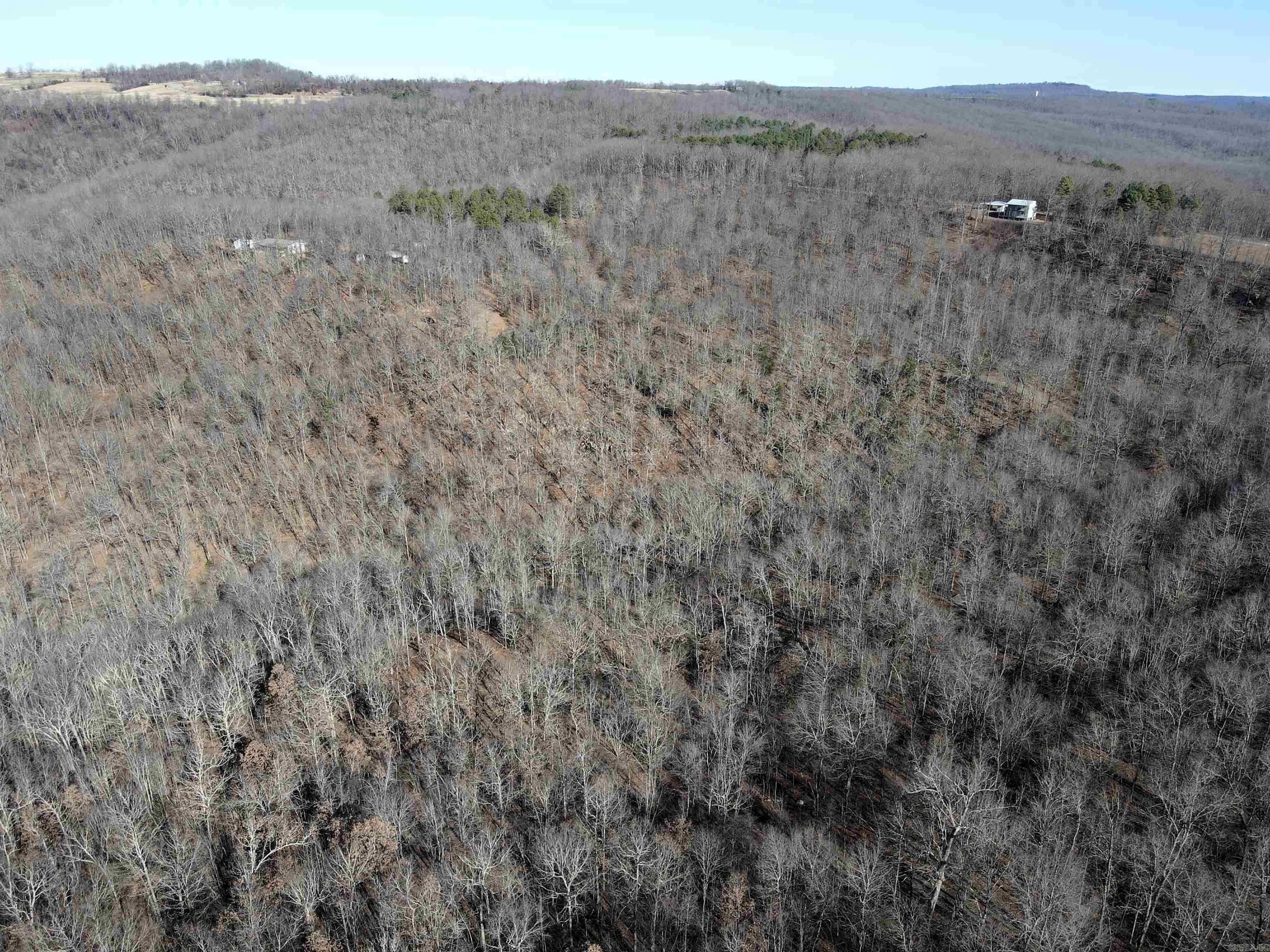 239 Mill Creek  Jerusalem, AR