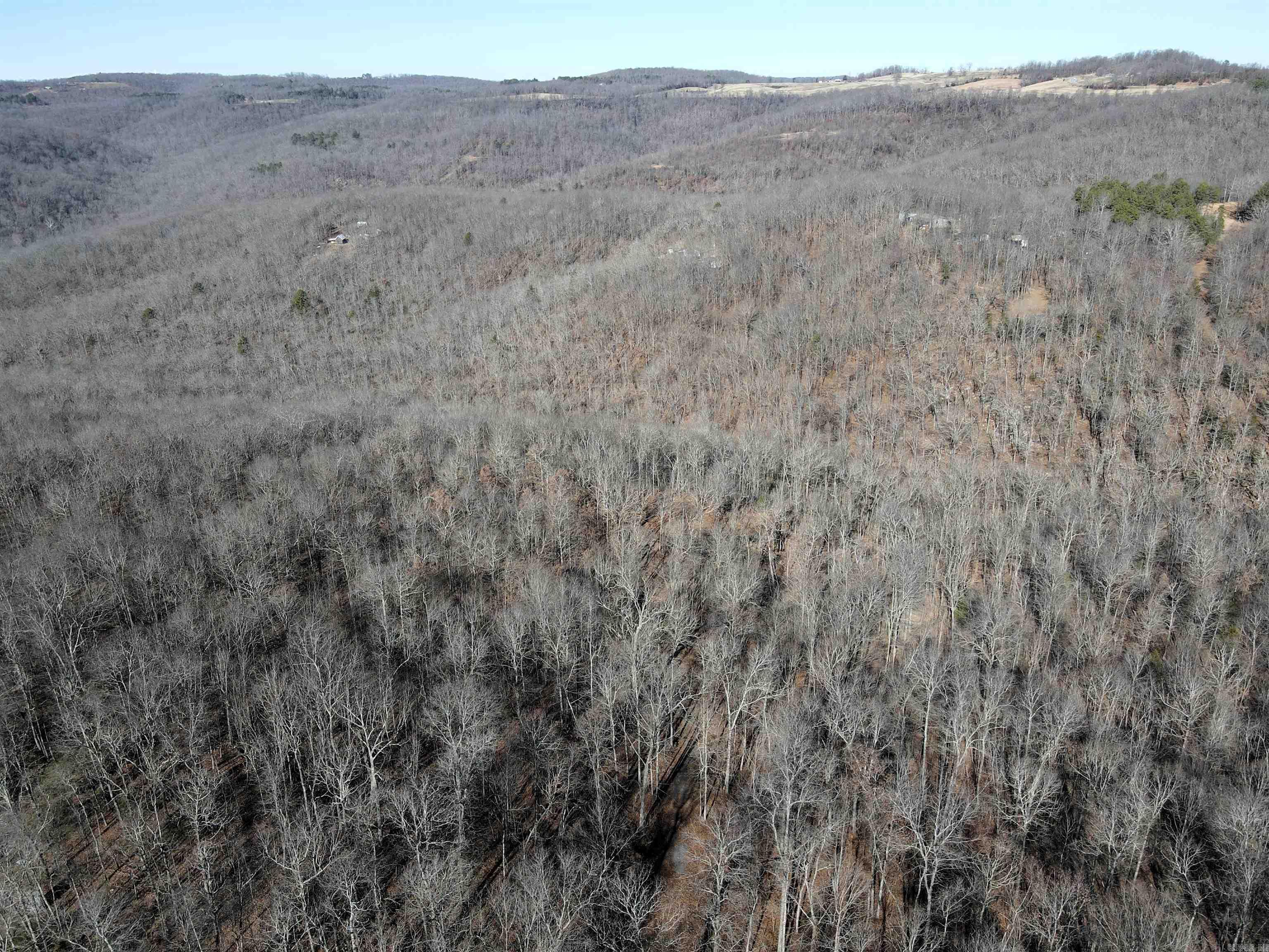 239 Mill Creek  Jerusalem, AR