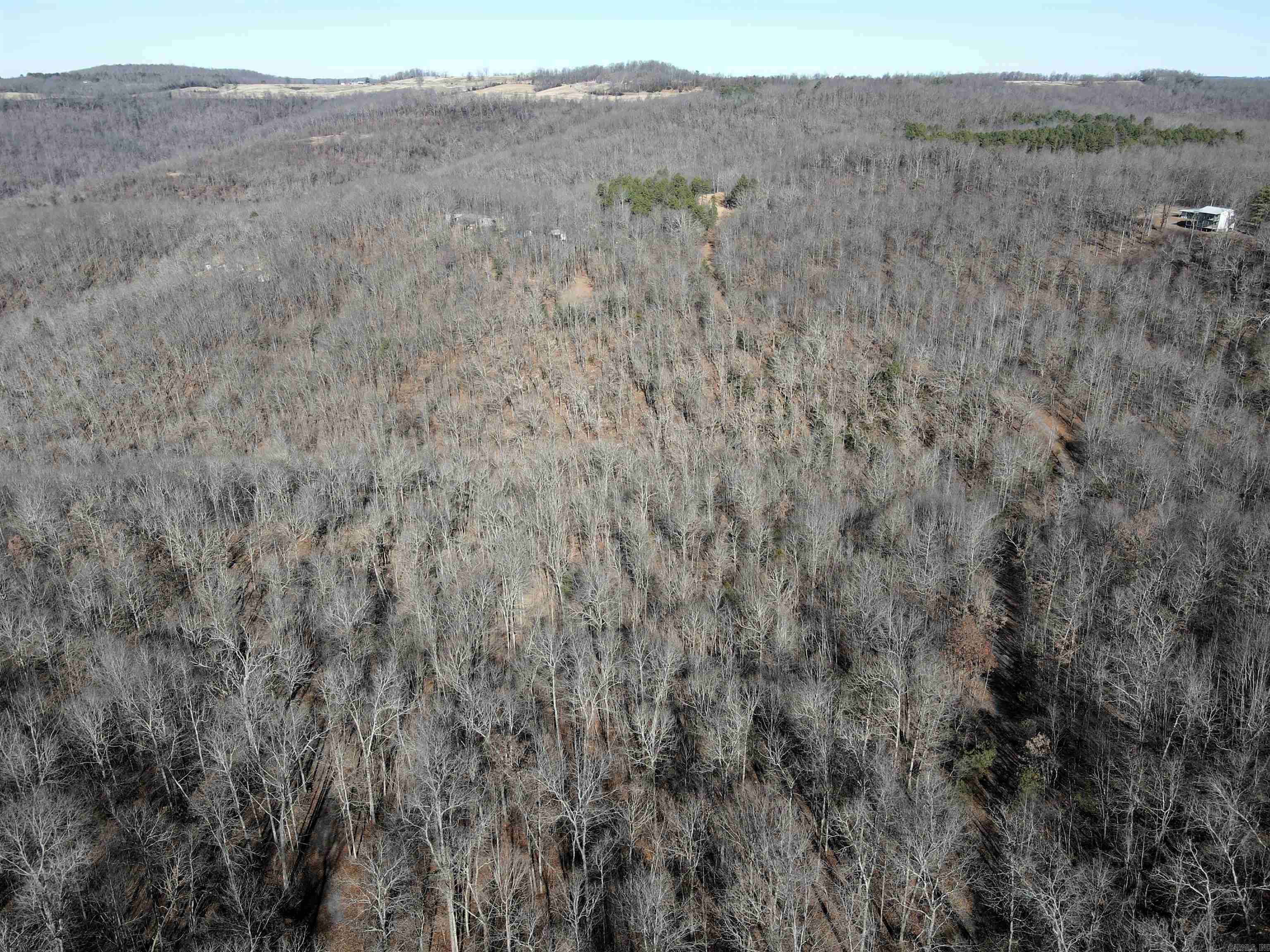 239 Mill Creek  Jerusalem, AR