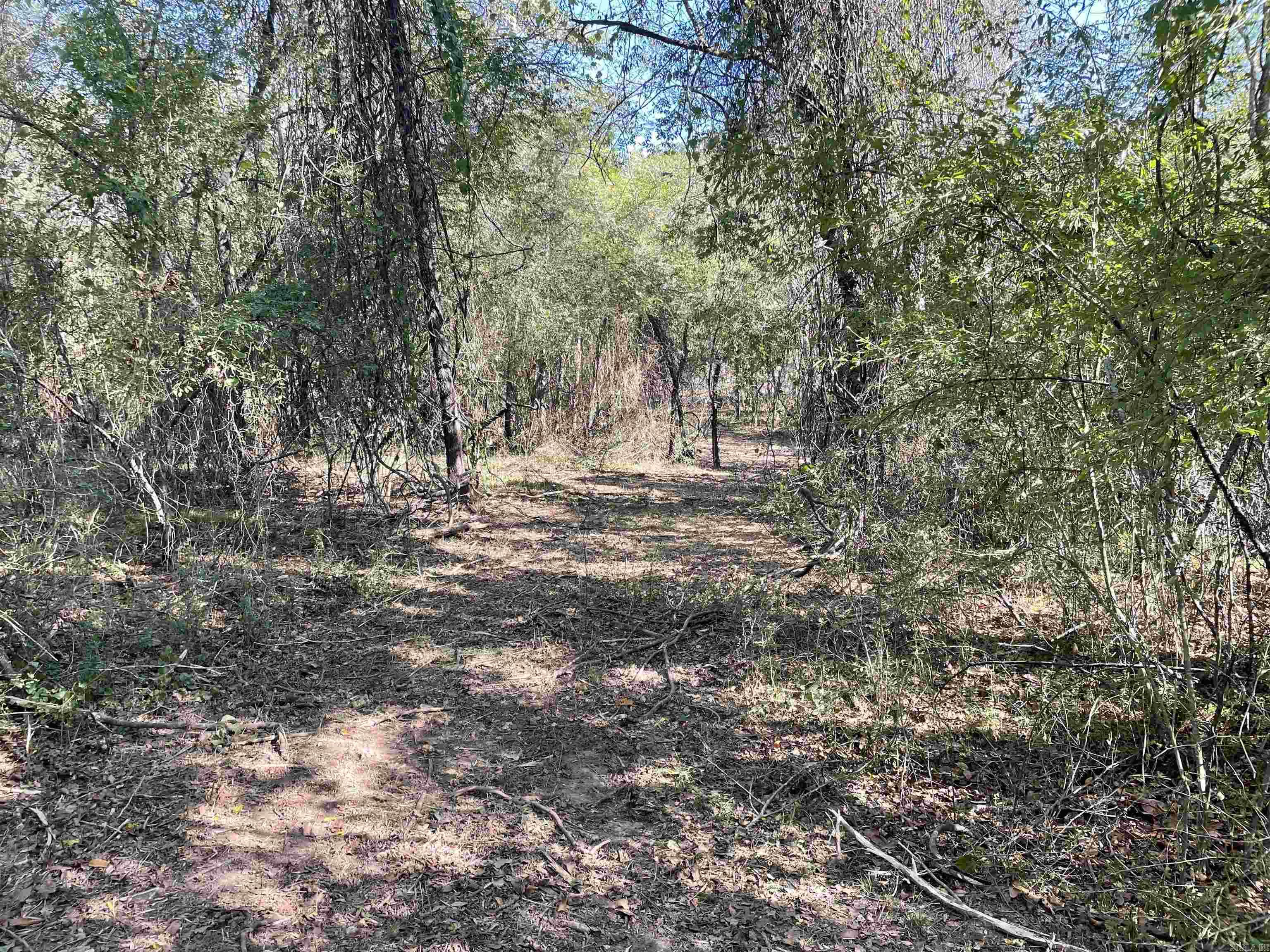 5 JABO LAKE ROAD  Little Rock, AR