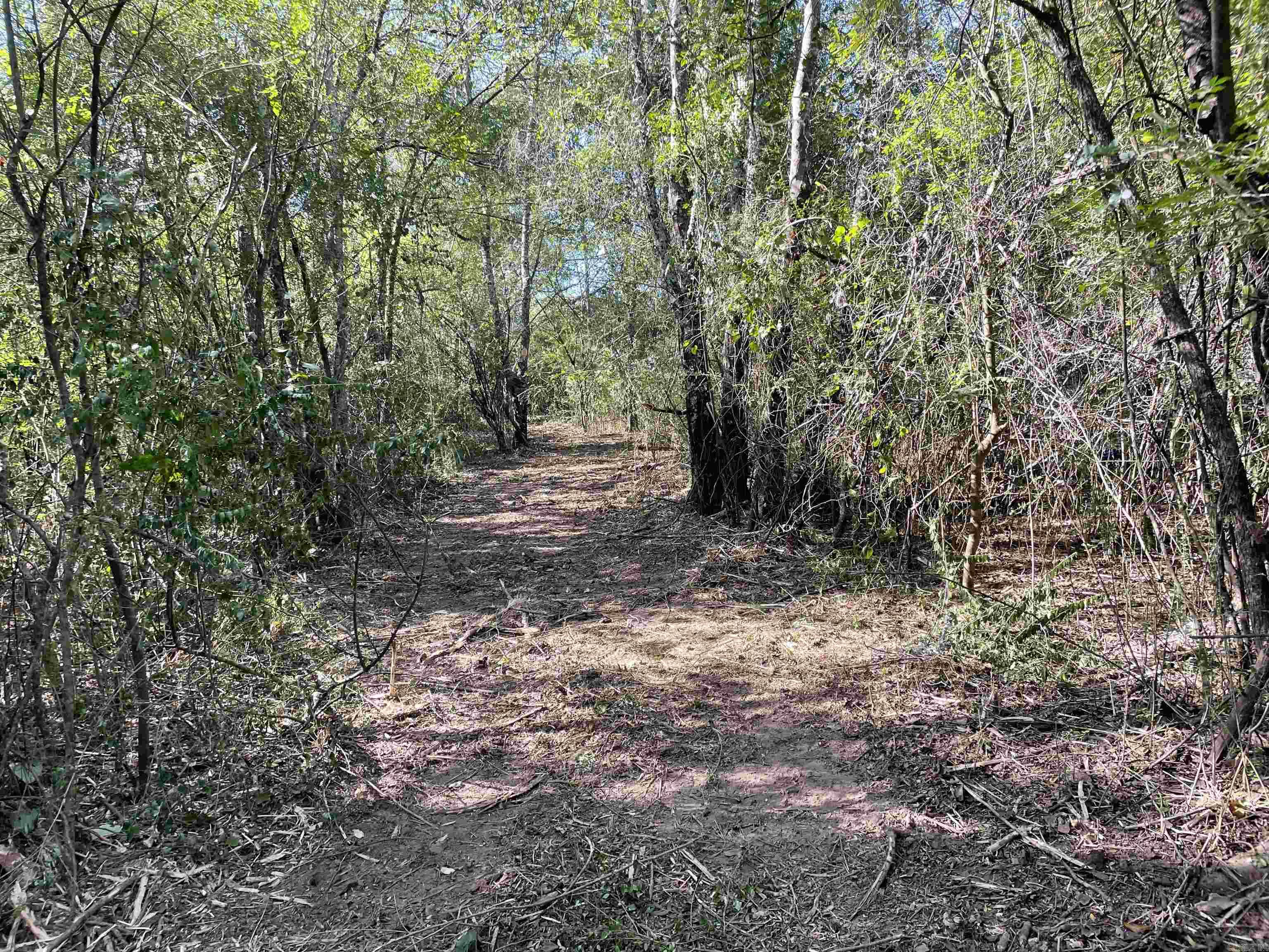 5 JABO LAKE ROAD  Little Rock, AR