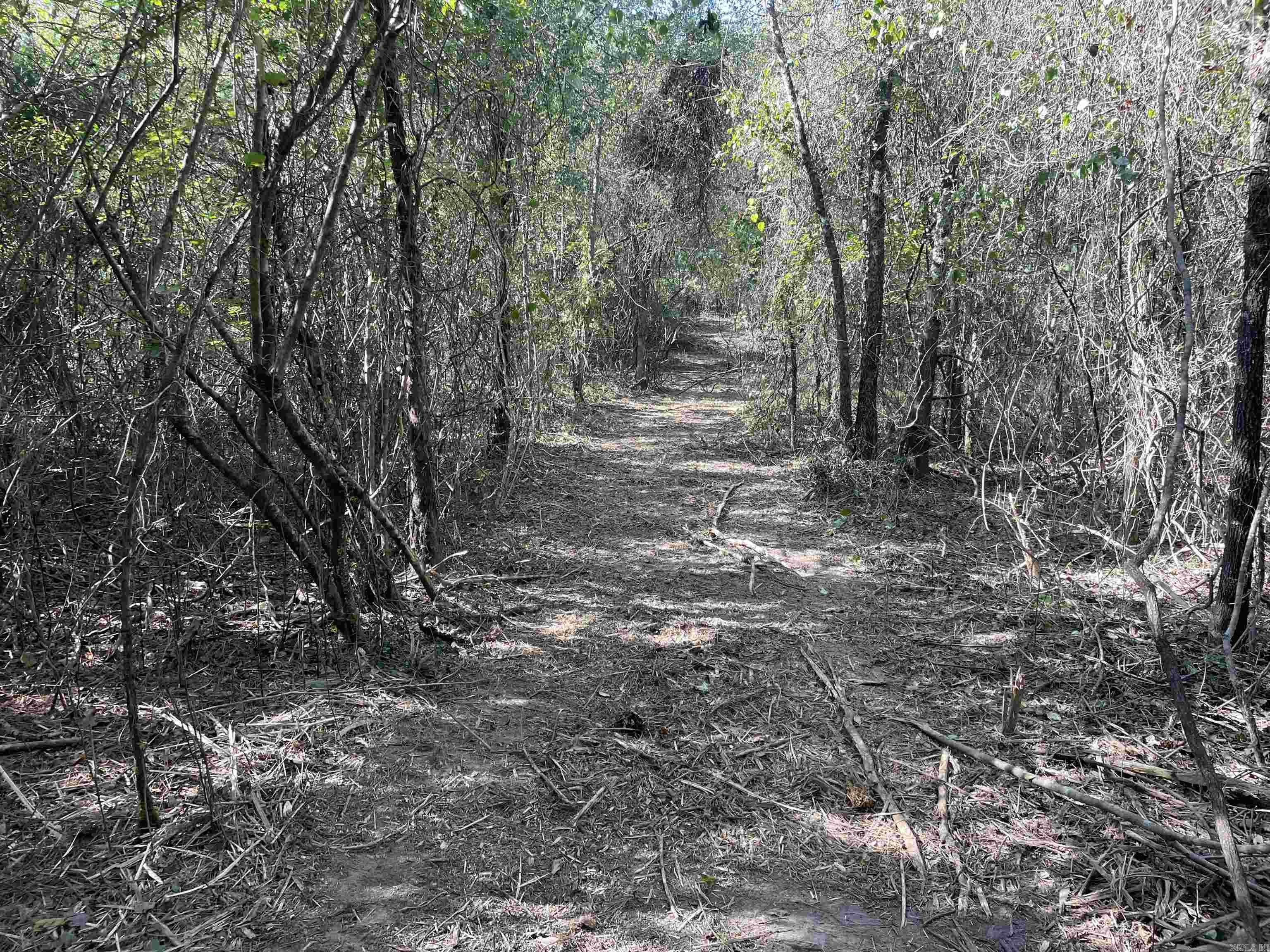 5 JABO LAKE ROAD  Little Rock, AR